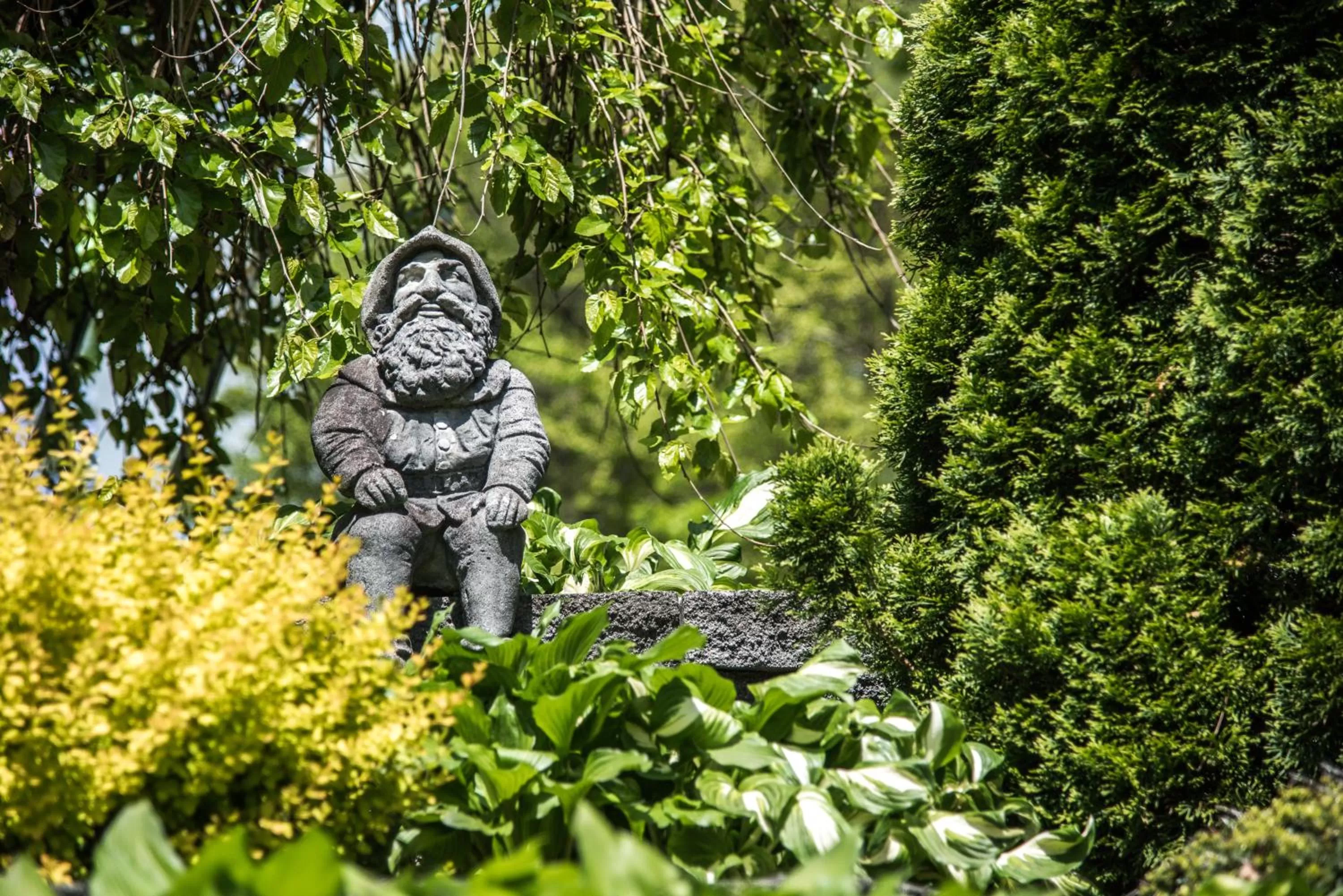 Boxwood Lodge Blowing Rock near Boone-University