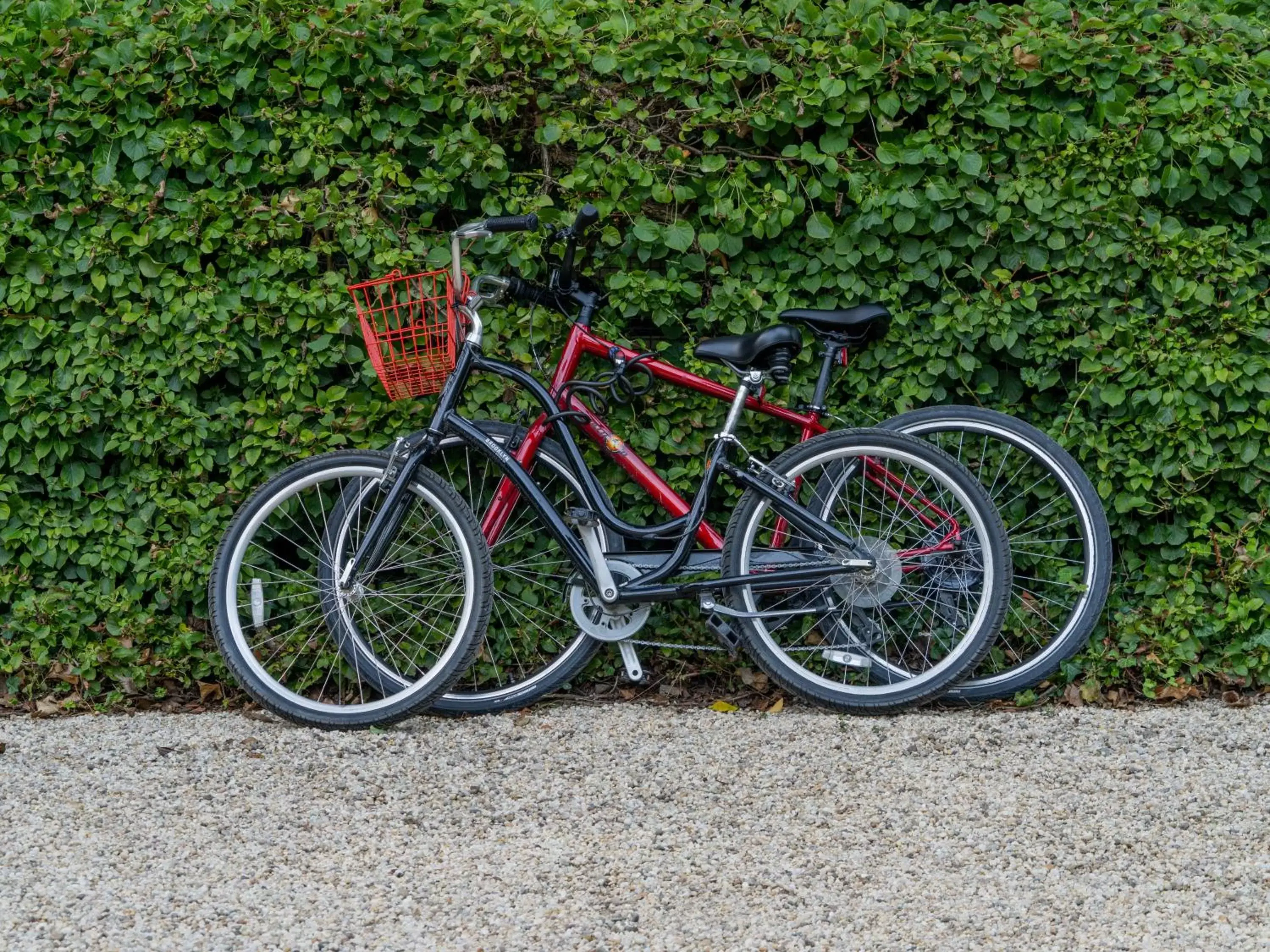 Cycling, Other Activities in The Baker House 1650