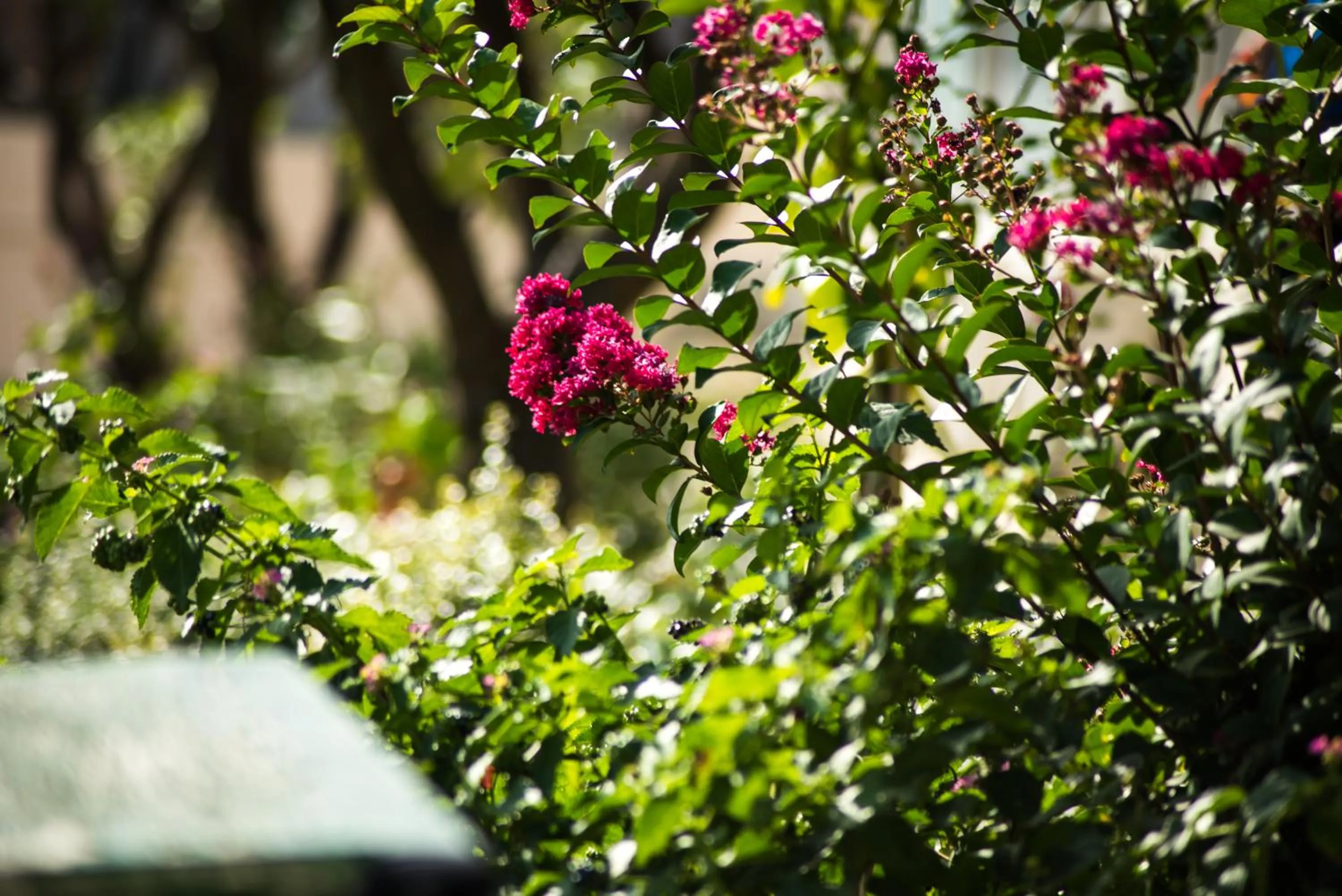 Property building in Myrto Hotel