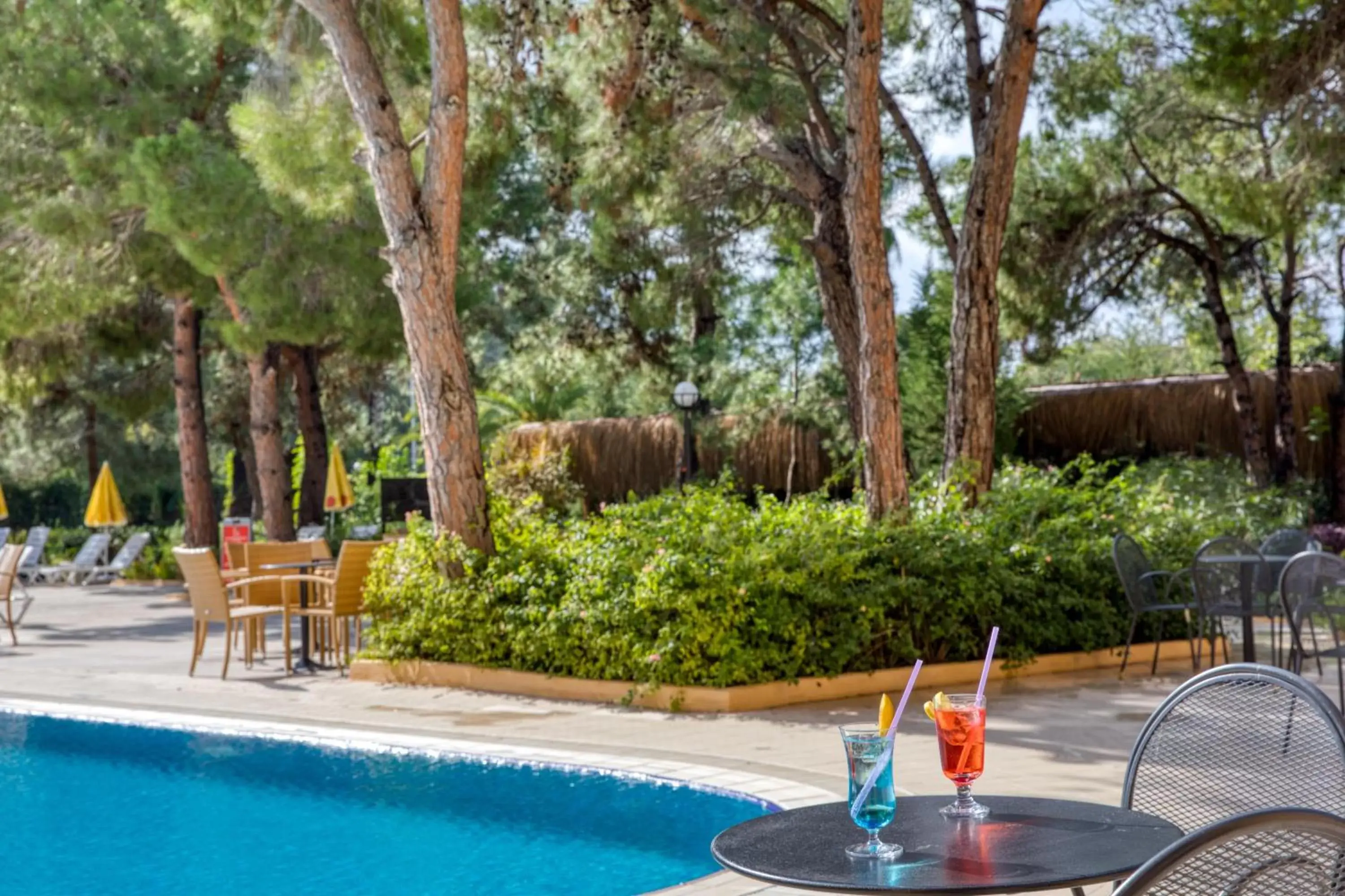 Garden, Swimming Pool in Labranda Excelsior Hotel