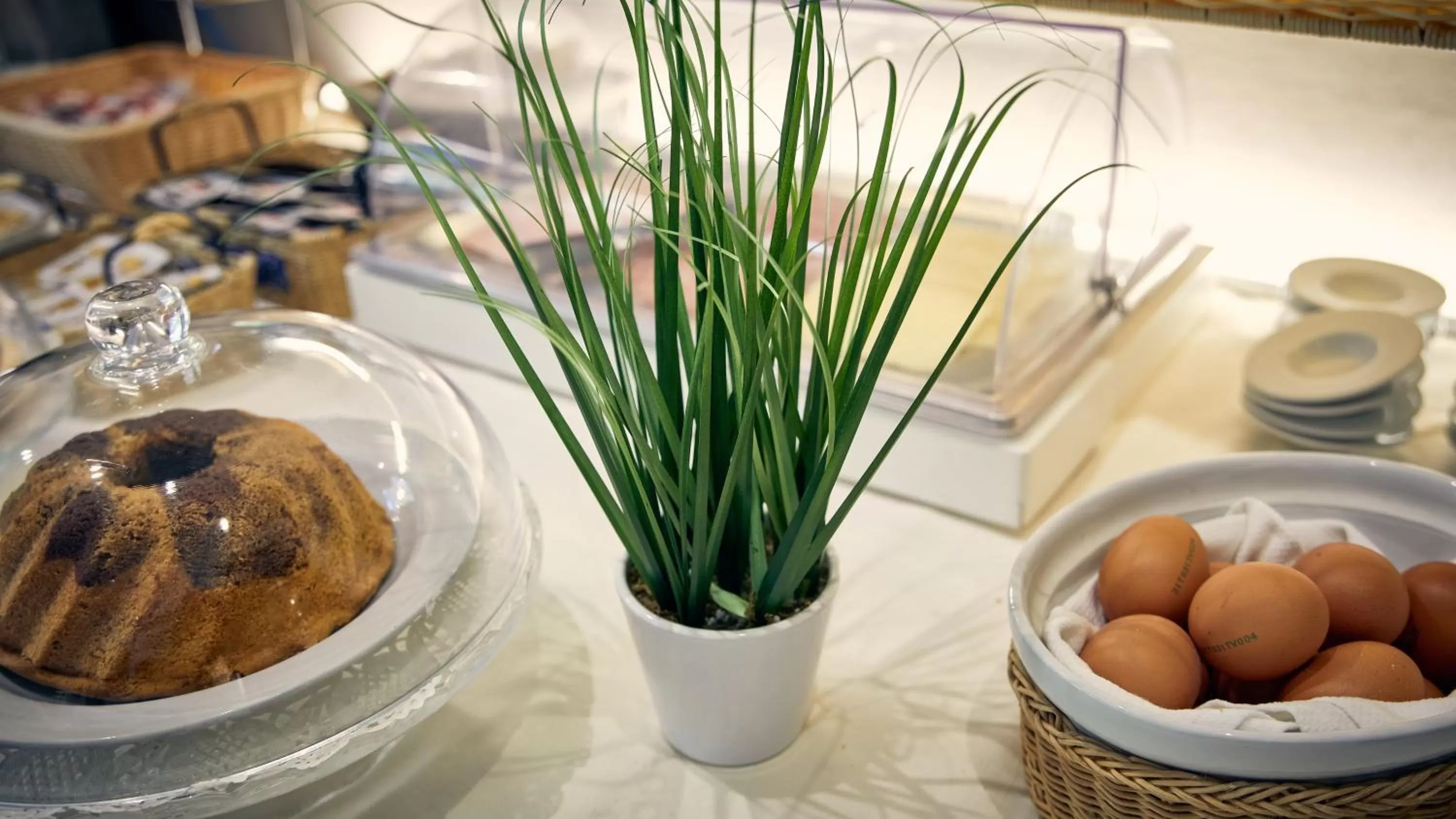 Food and drinks in Hotel Roberta