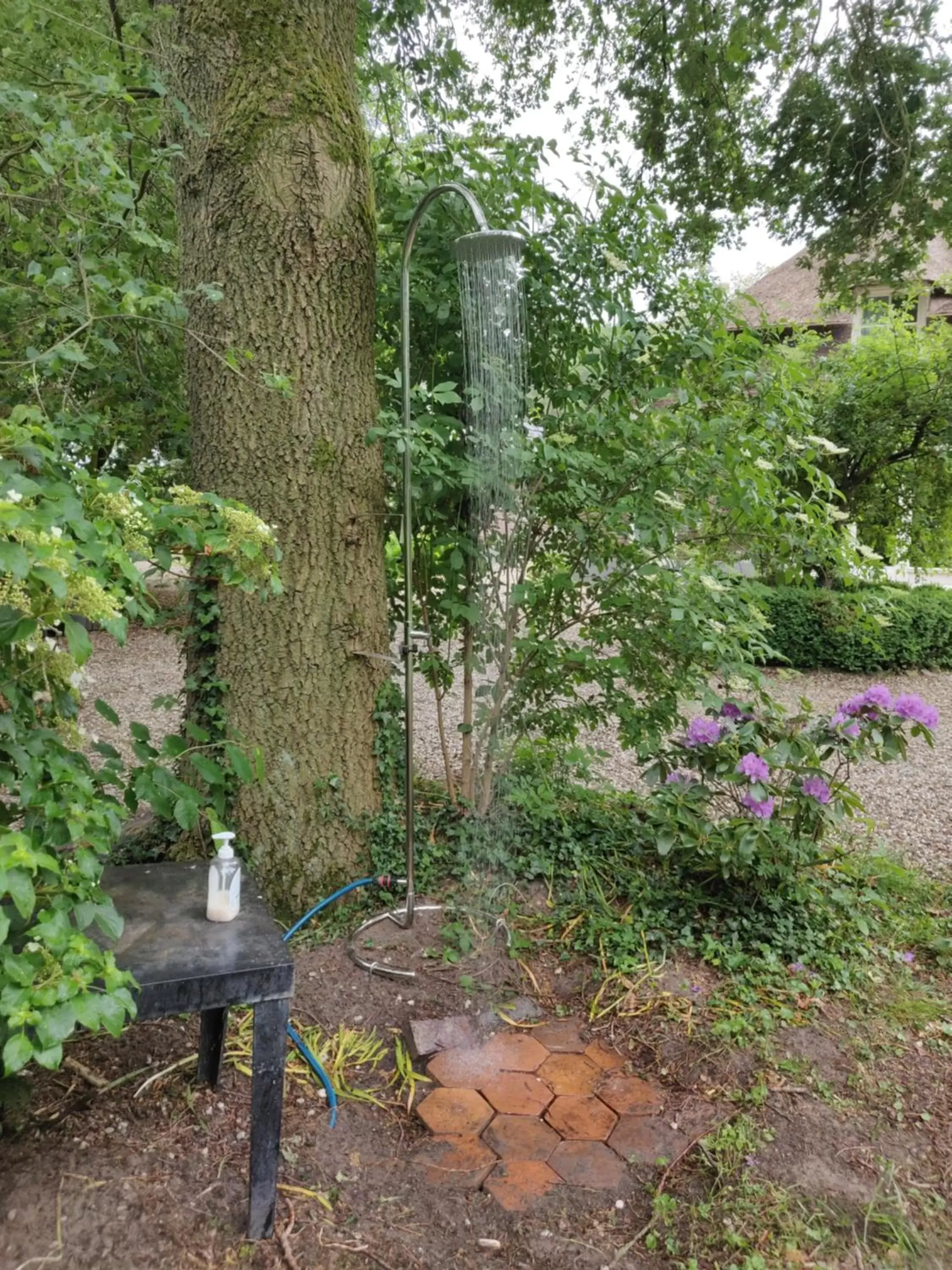 Garden, Other Animals in Sallandelijk Bakhuis