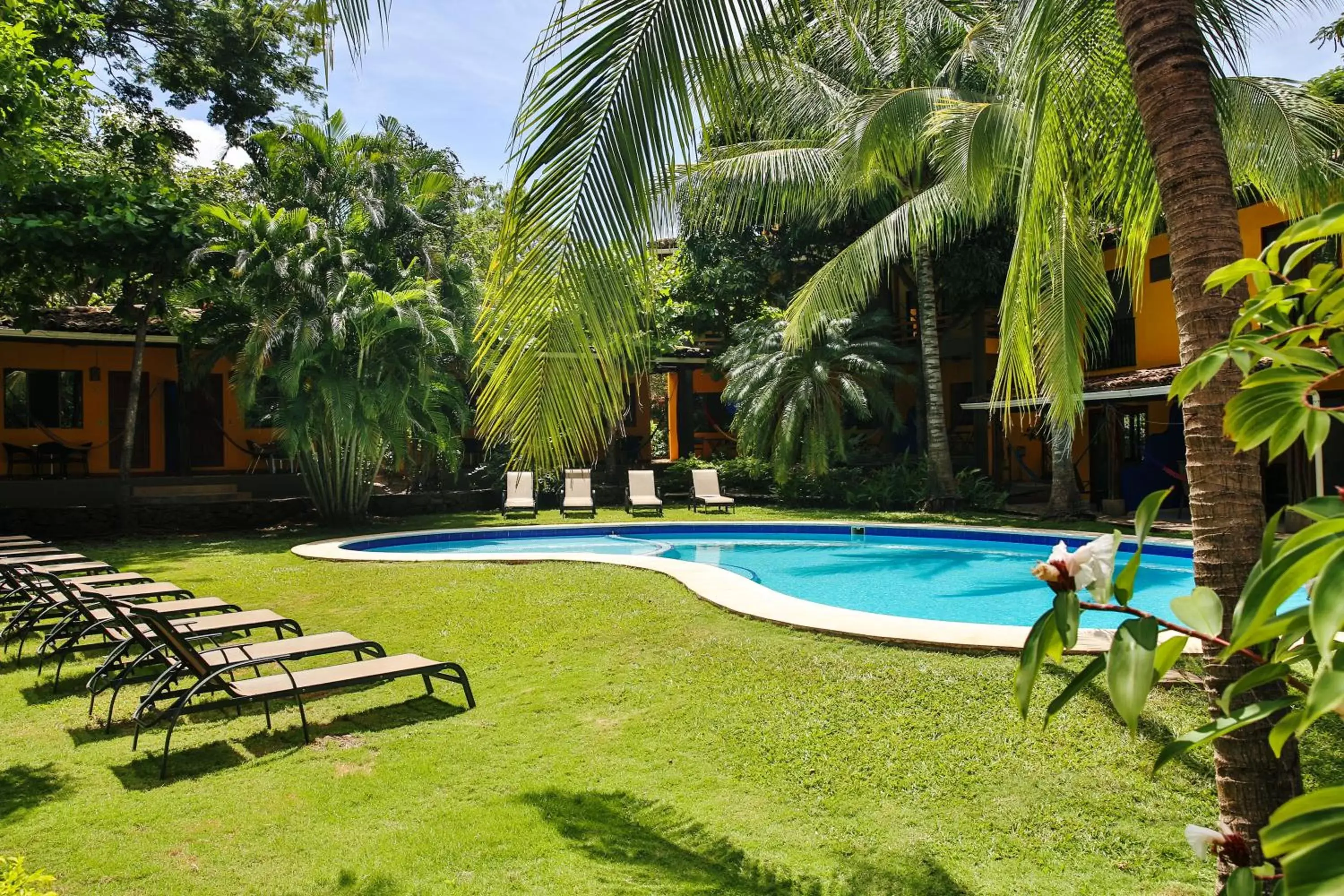 Garden, Swimming Pool in Villas Macondo