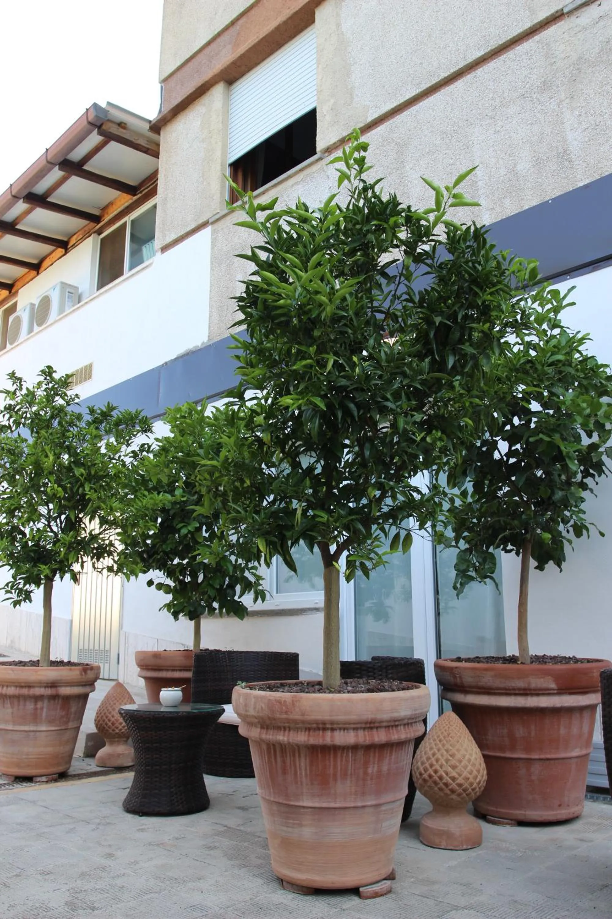 Patio in Love & Fama Hotel