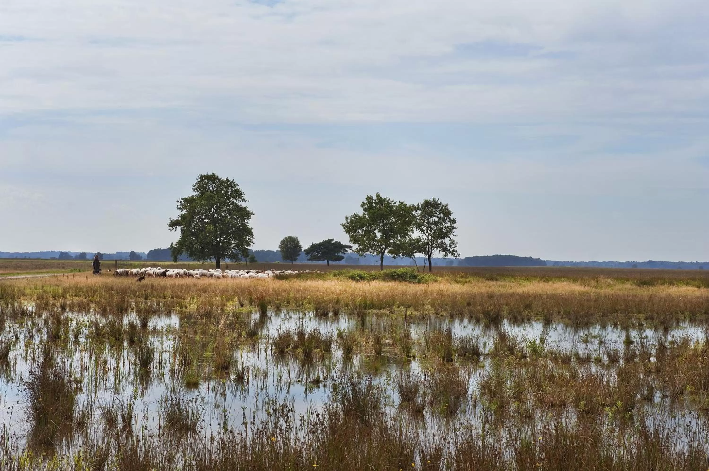 Natural landscape in Hotel Wesseling