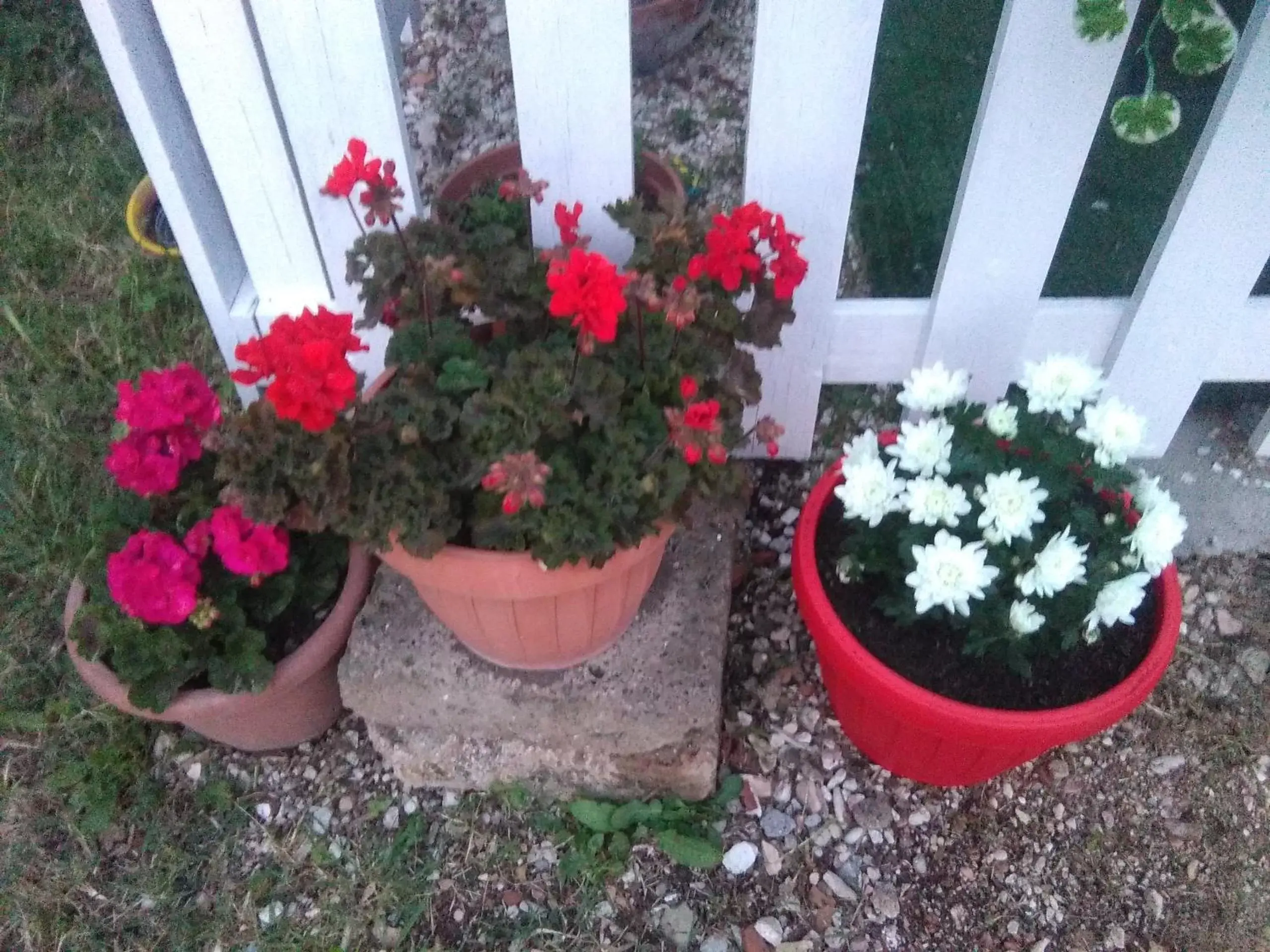 Garden in Villa Clotilde