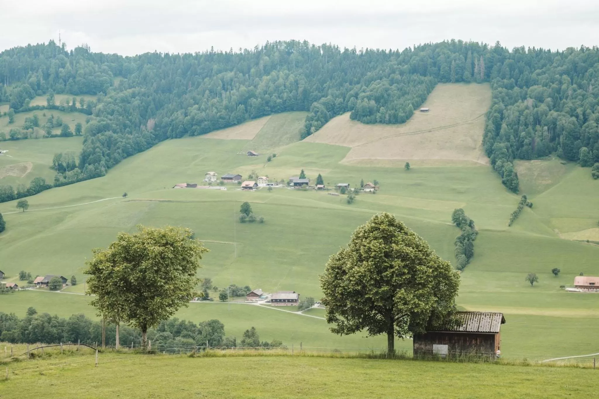 Natural landscape in B&B Hof Grosschreie