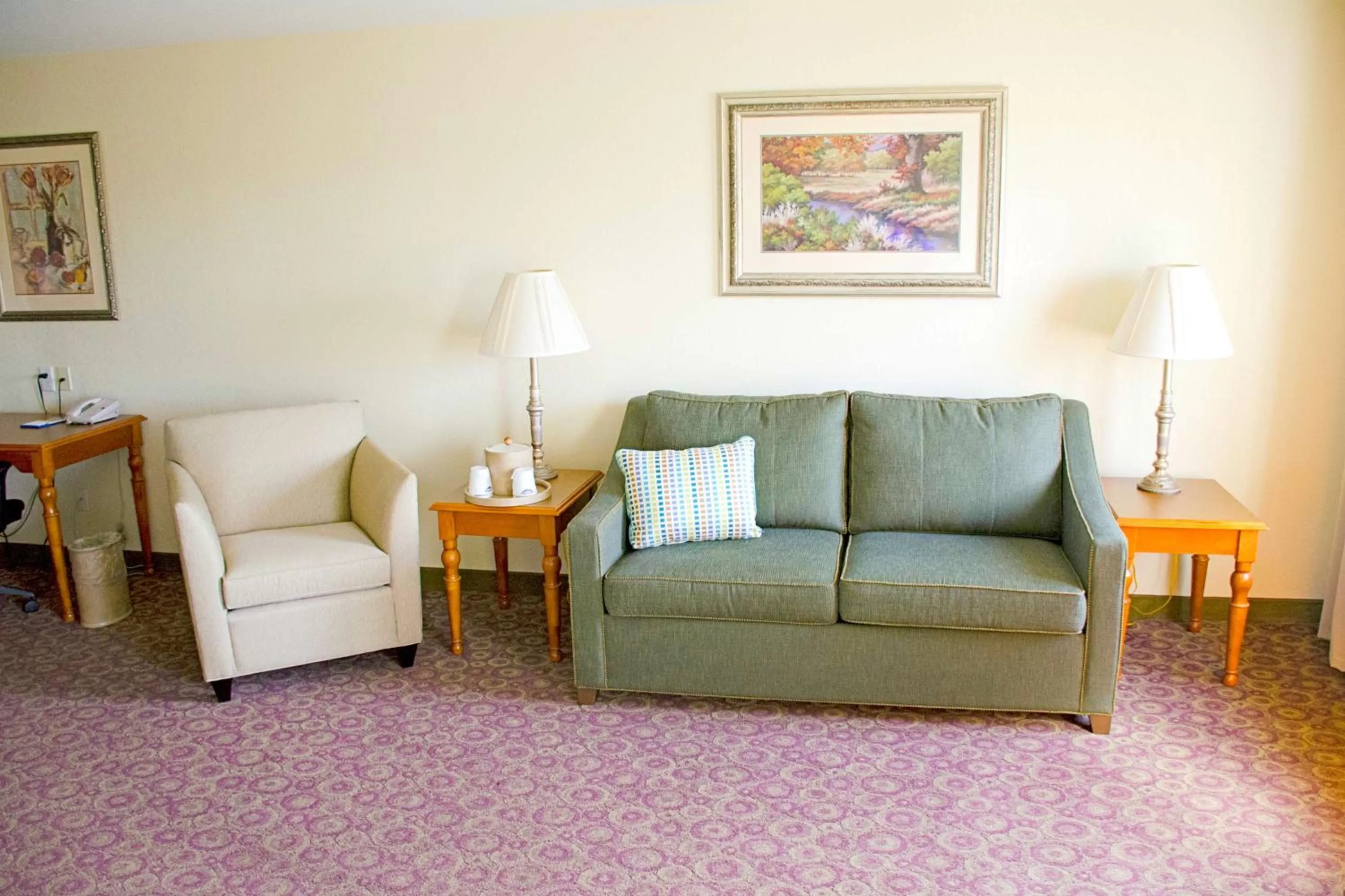 Living room in Hampton Inn & Suites College Station