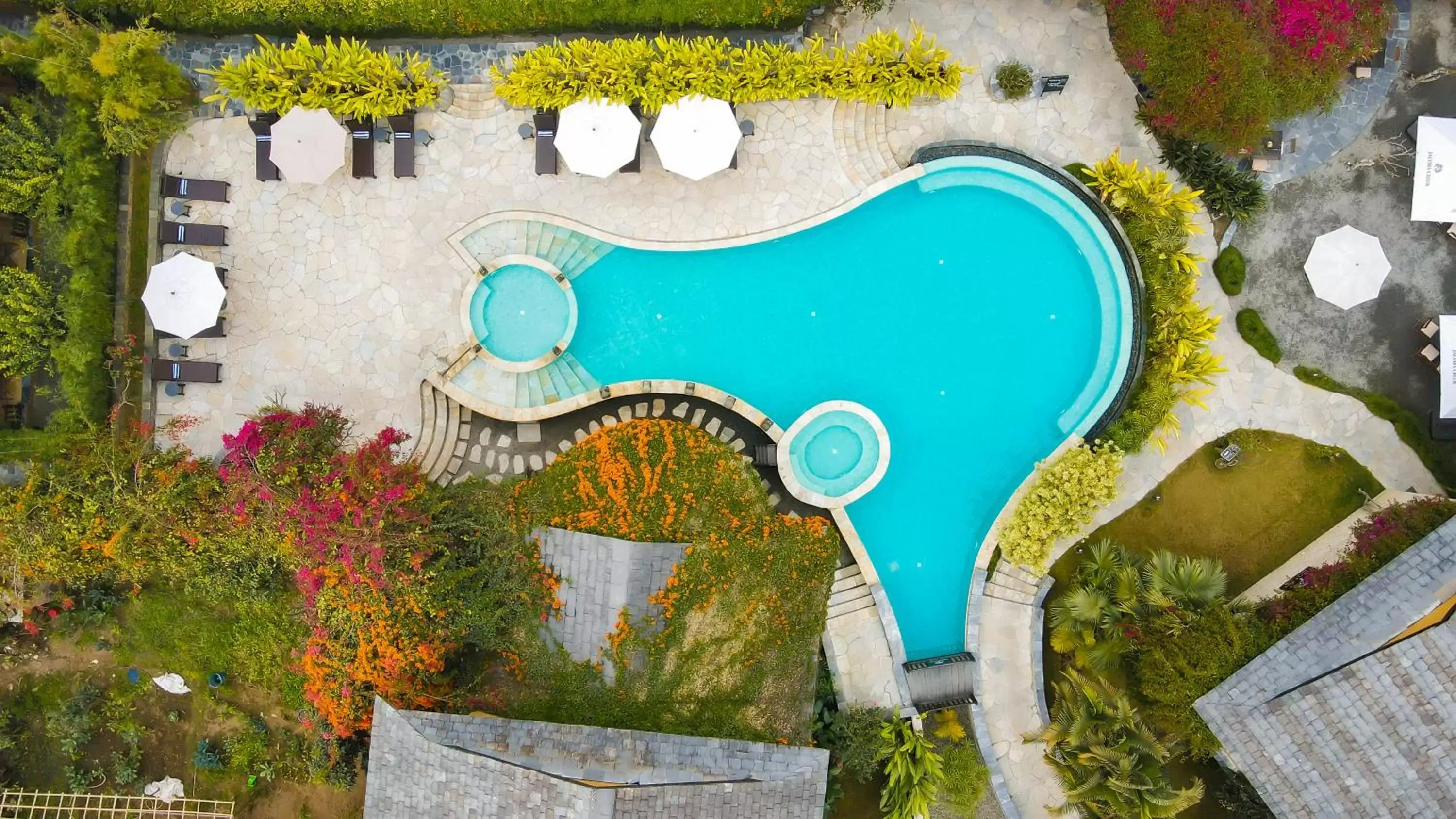 Swimming pool, Bird's-eye View in Temple Tree Resort & Spa