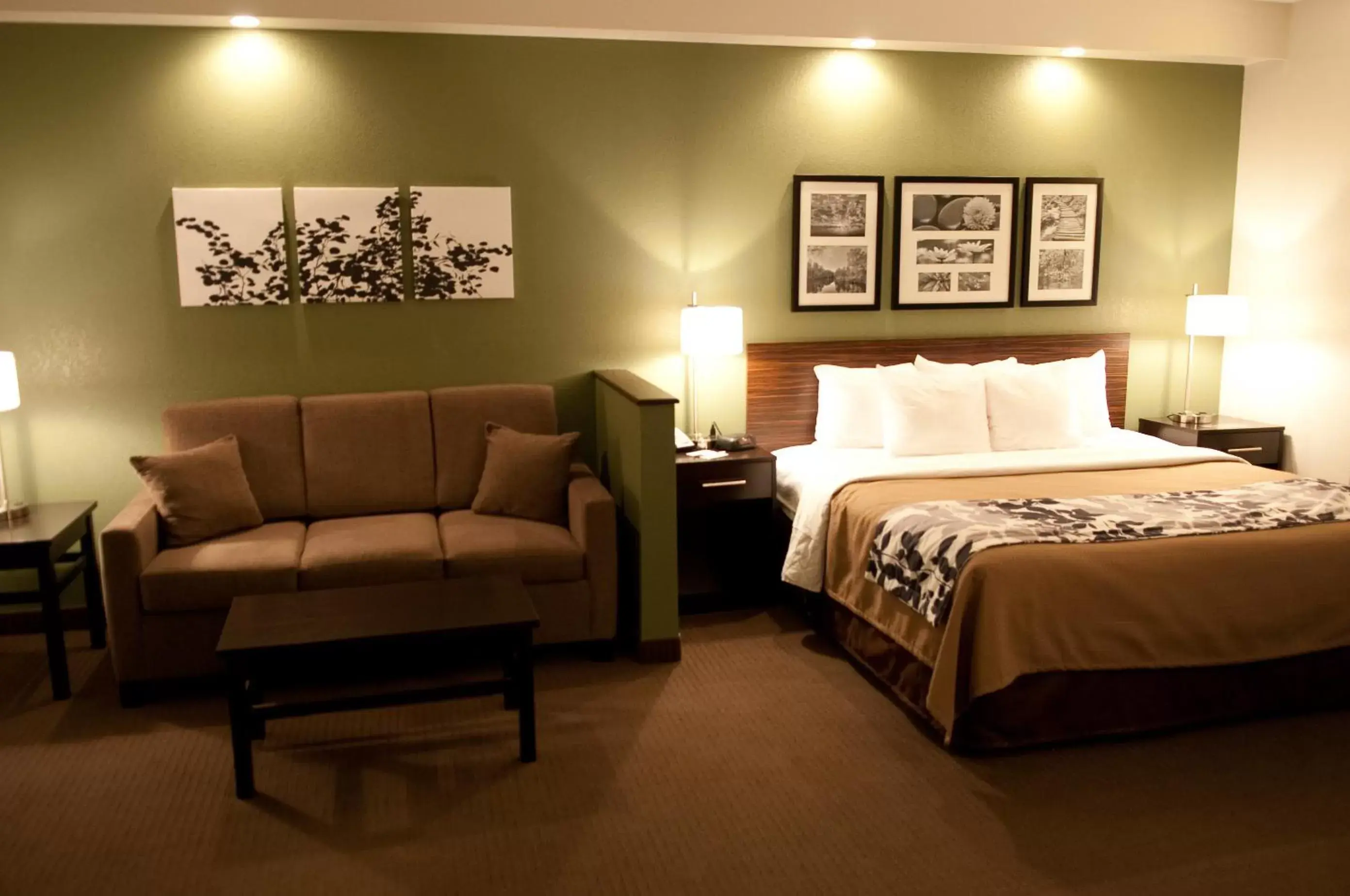 King Suite - Non-Smoking in Sleep Inn & Suites Buffalo Airport Cheektowaga