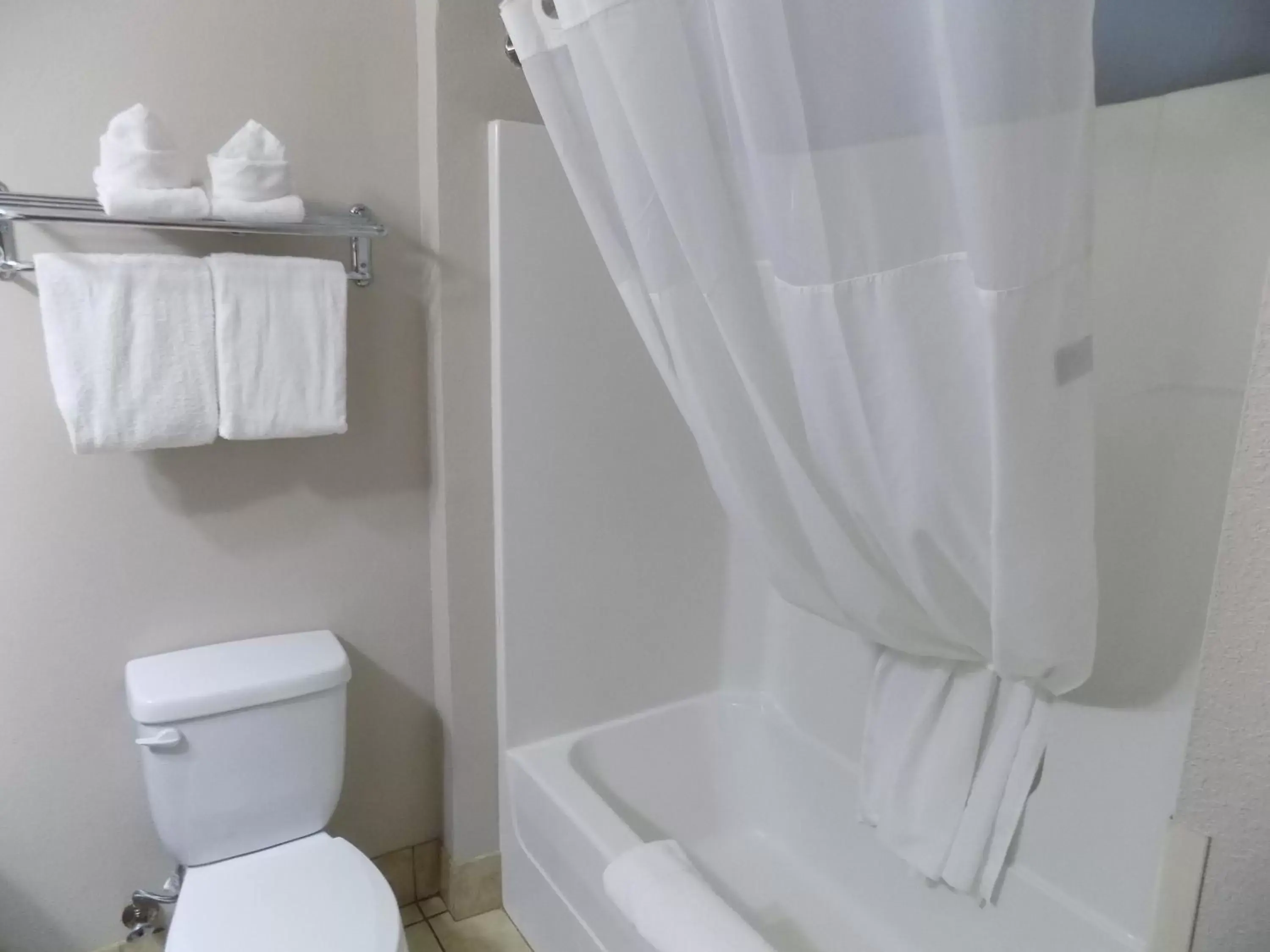 Shower, Bathroom in Econo Lodge