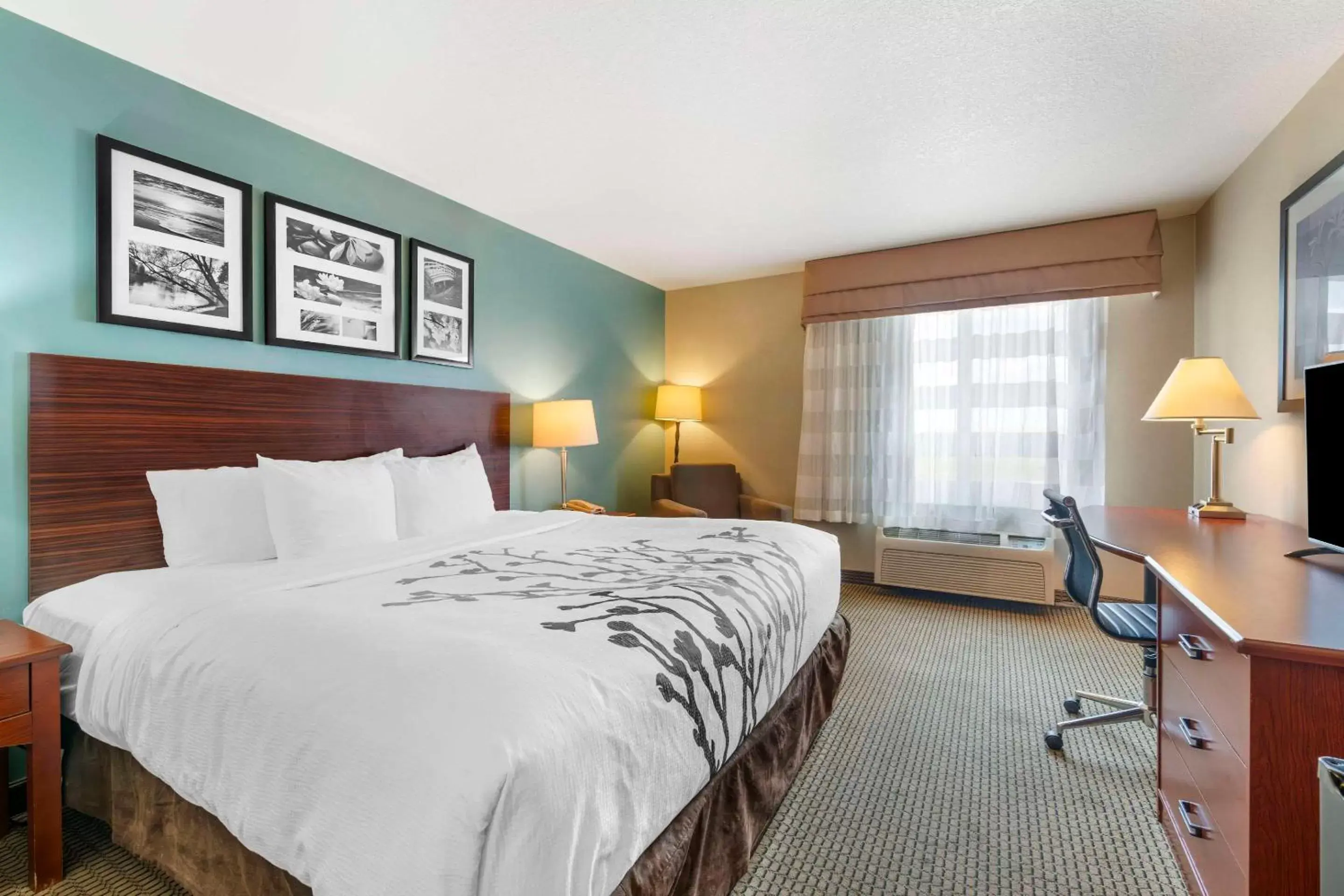 Bedroom, Bed in Sleep Inn & Suites Rapid City