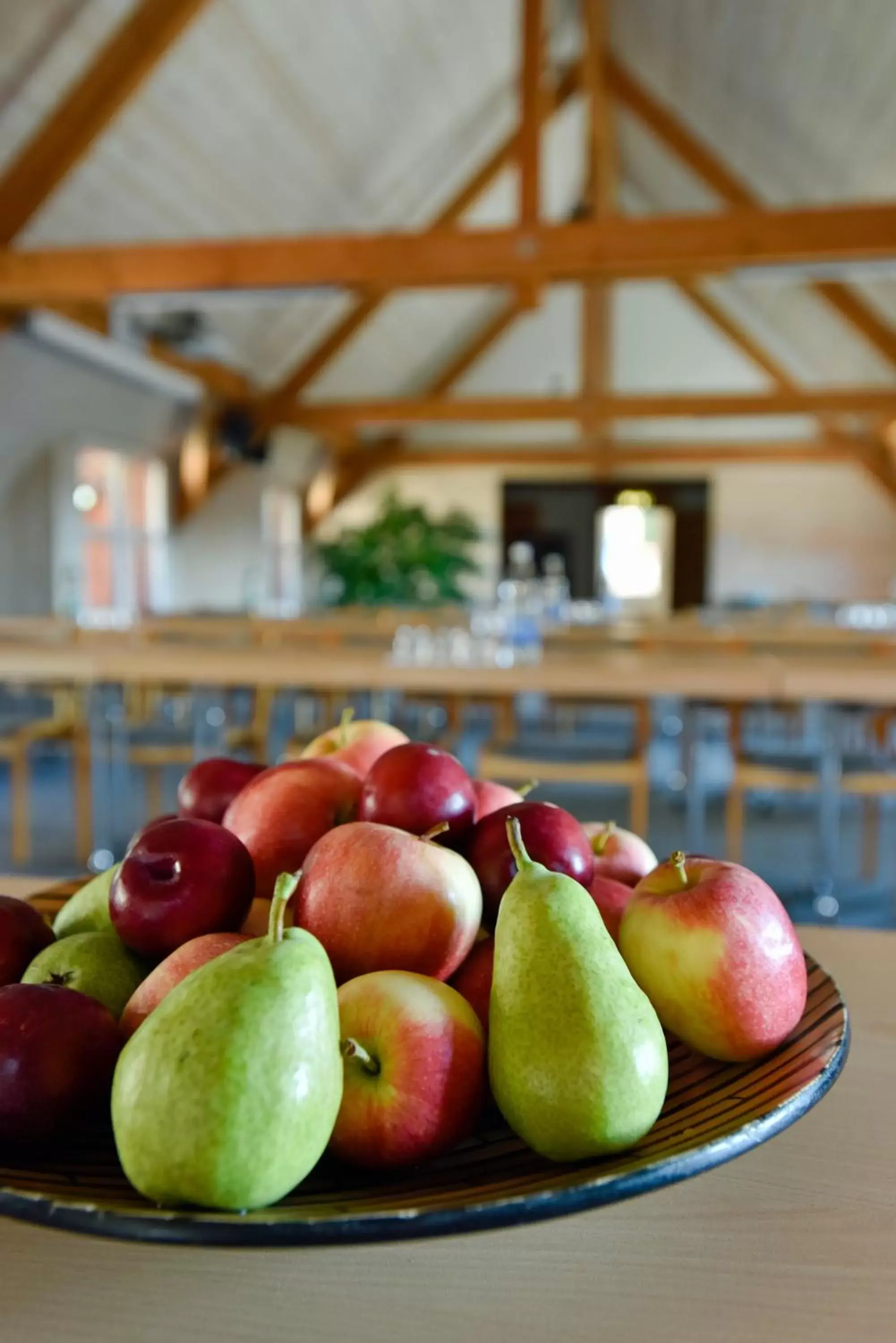 Meeting/conference room, Food in Seminarhotel Romerohaus