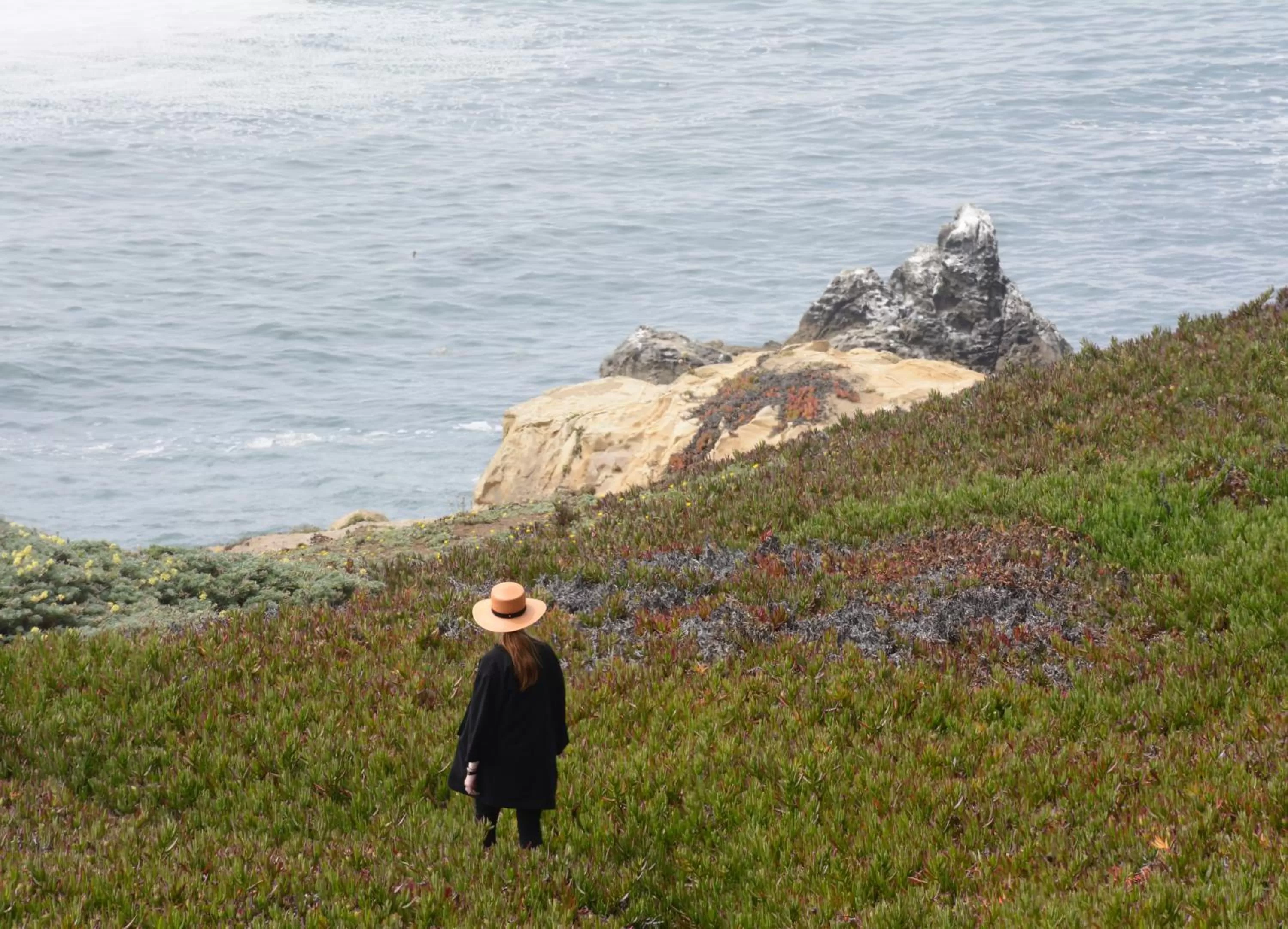 Sea view in Timber Cove Resort