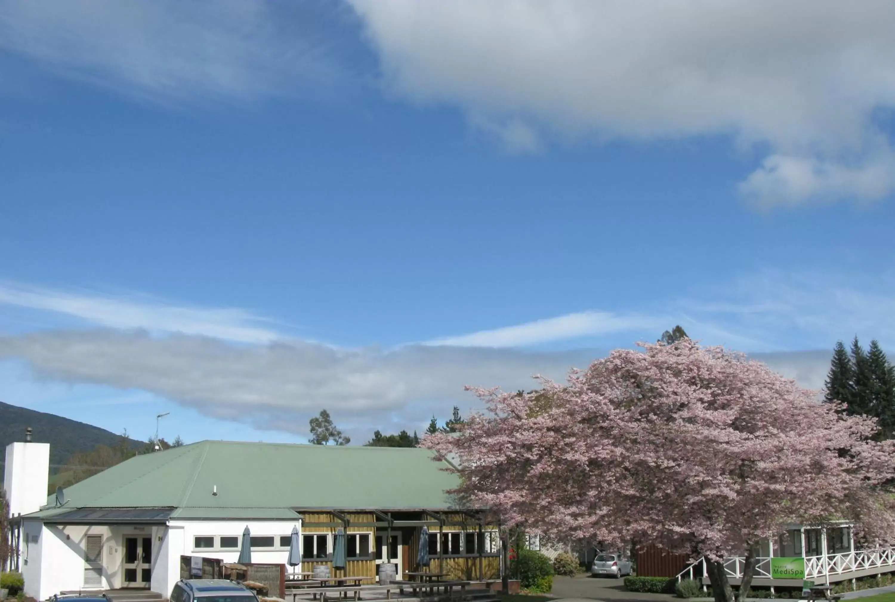 Restaurant/places to eat in Turangi Bridge Motel