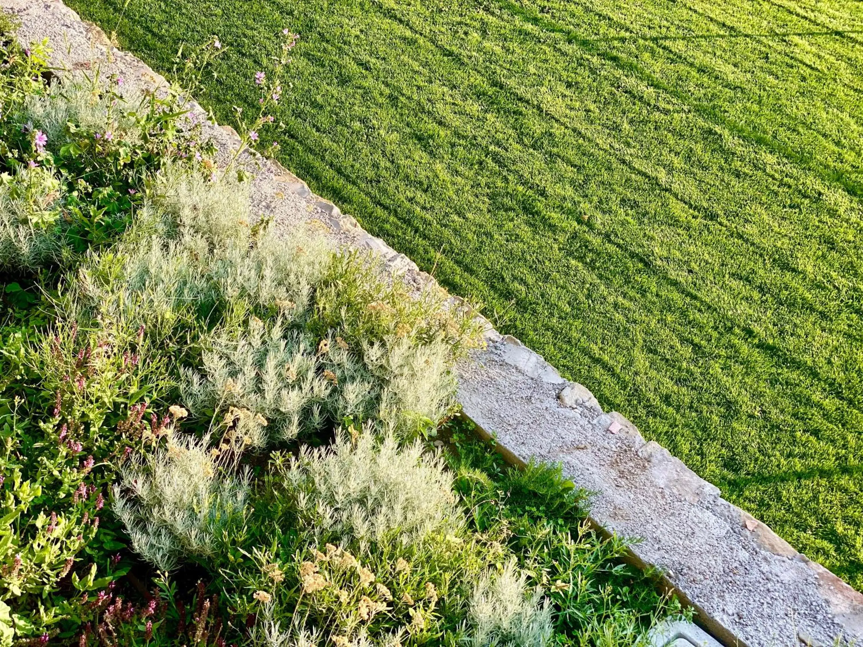 Garden in San Michele al Castello