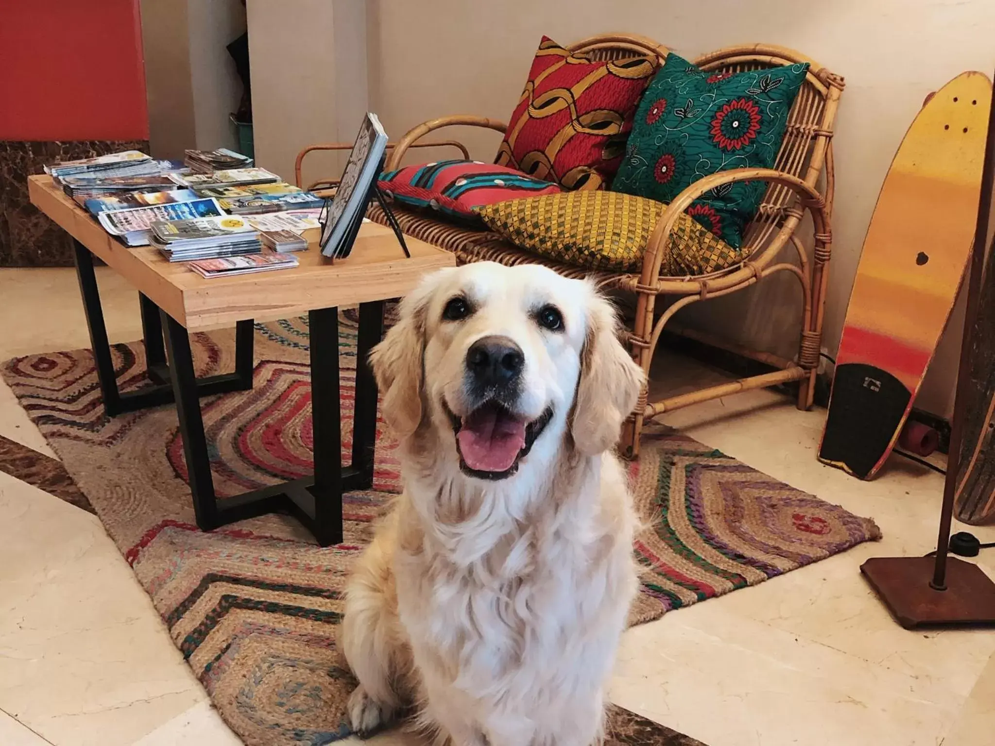 Lobby or reception, Pets in Hotel San Miguel