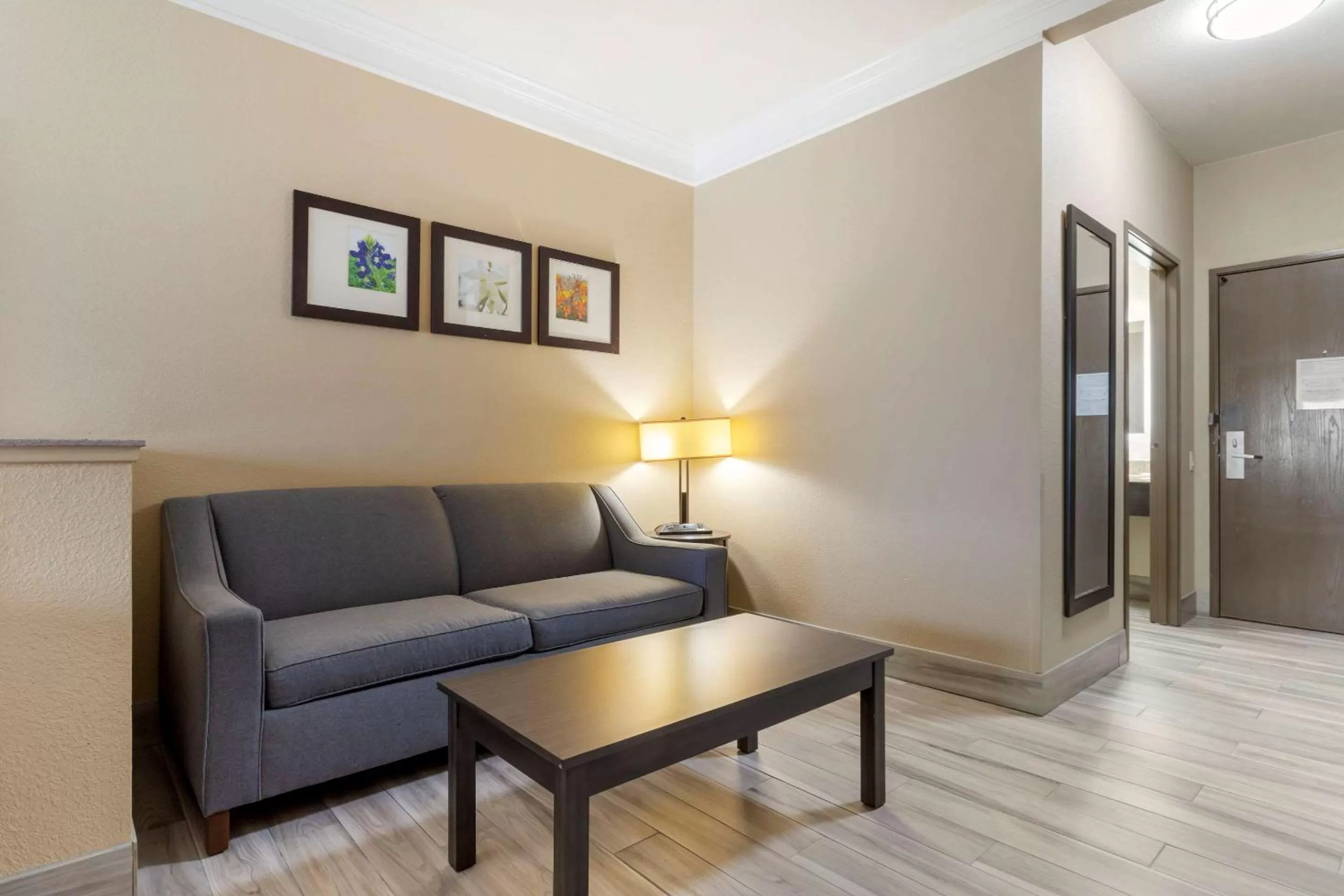 Living room in Comfort Suites Kingwood, Humble, New Caney, Houston IAH Airport