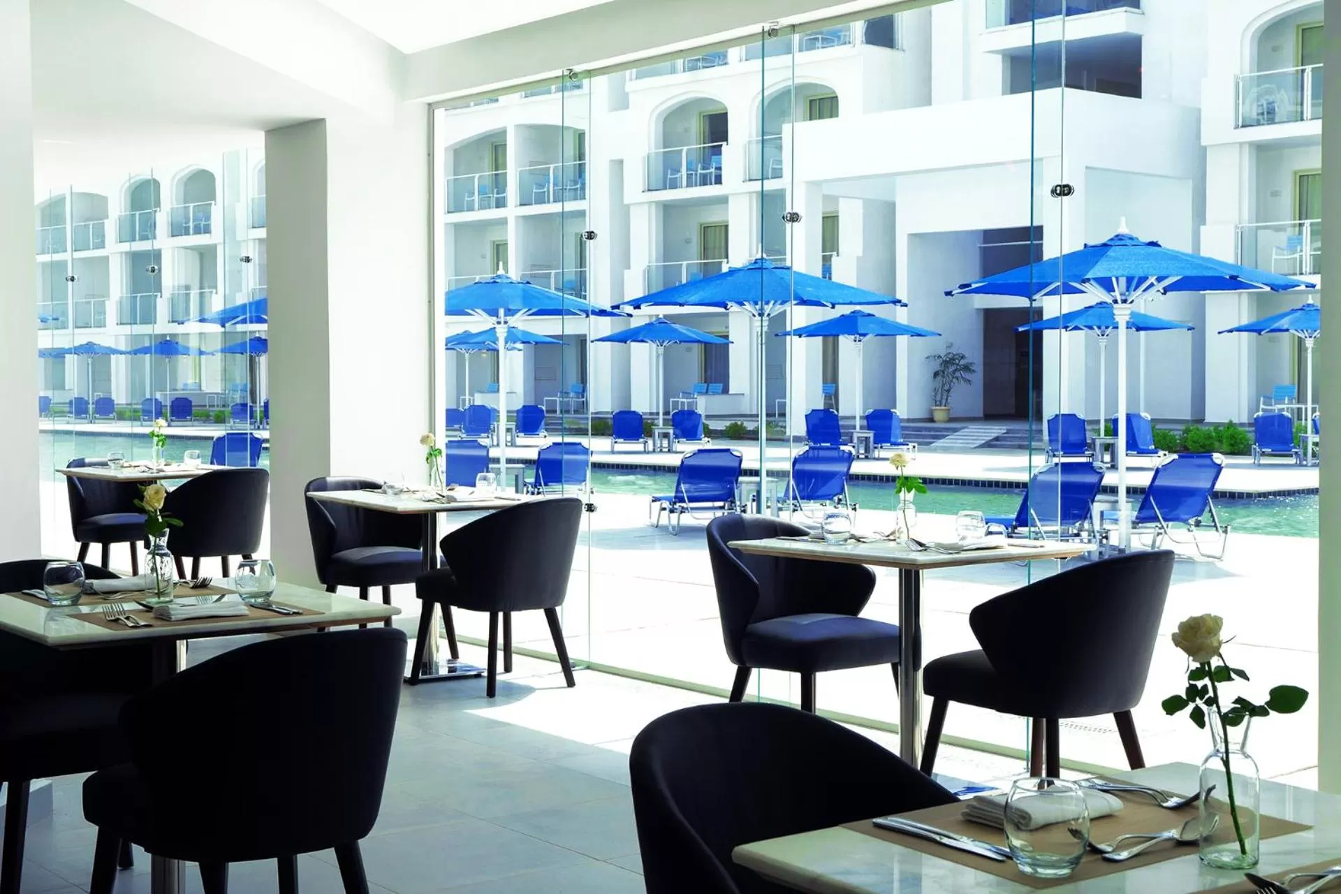 Lounge or bar in Pickalbatros Blu Spa Resort - Adults Friendly 16 Years Plus- Ultra All-Inclusive