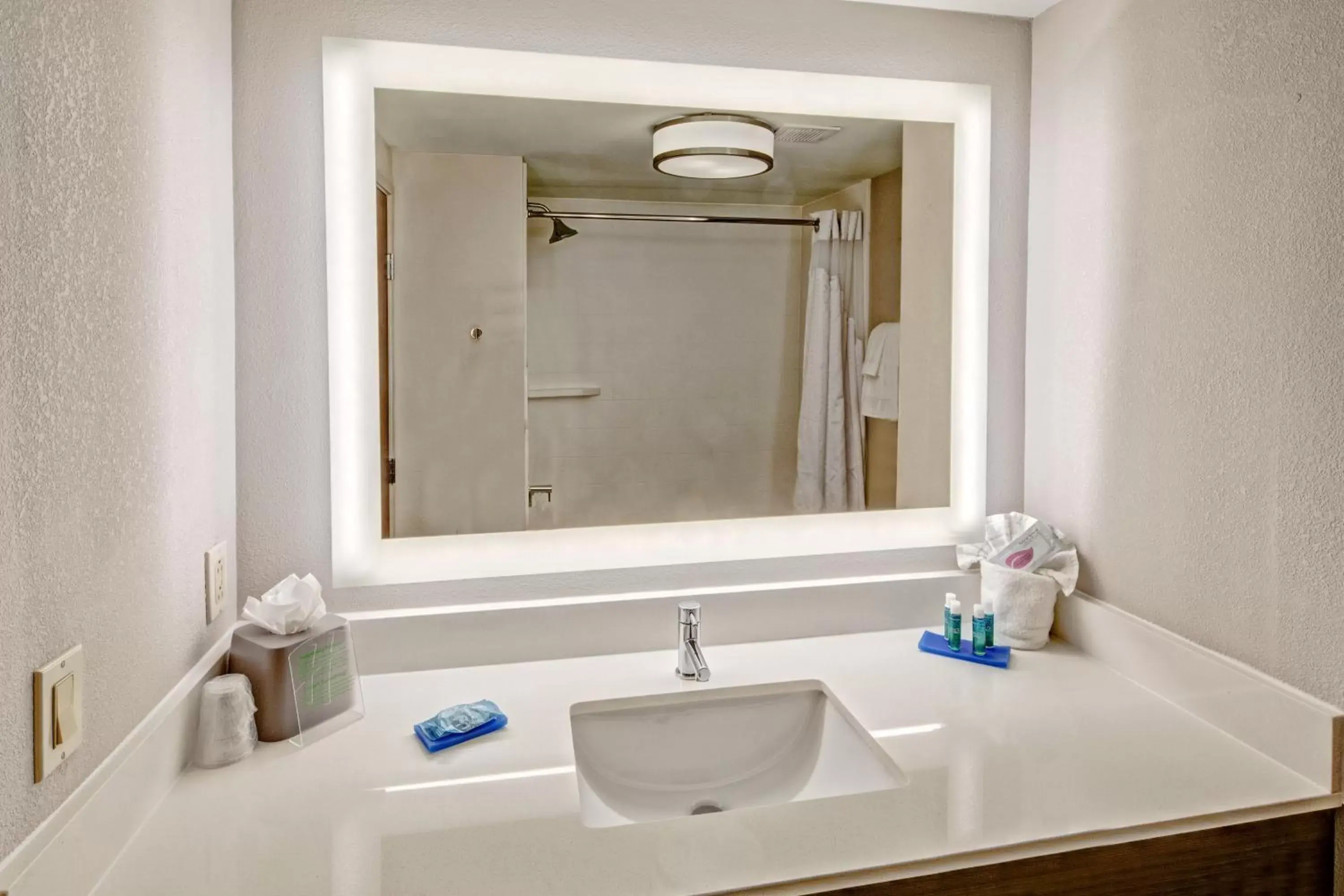 Bathroom in Holiday Inn Express Hotel & Suites Memphis Southwind, an IHG Hotel
