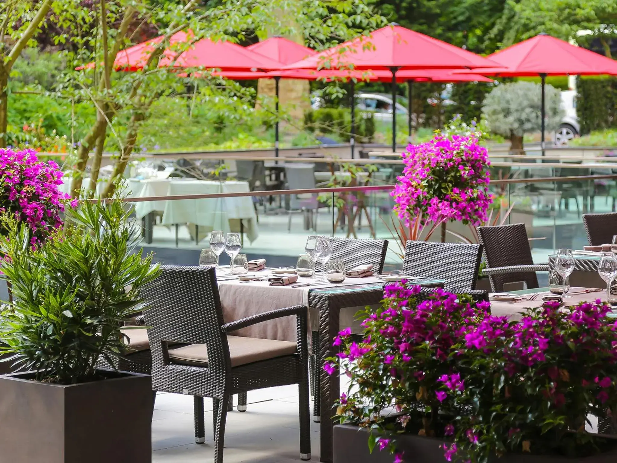 Patio, Restaurant/Places to Eat in Hotel Le Royal