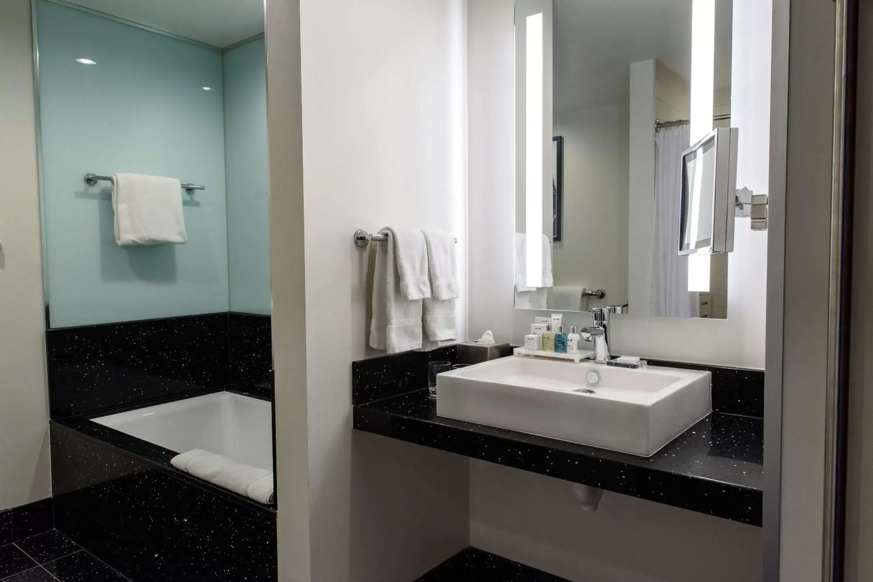 Photo of the whole room, Bathroom in Radisson Blu Mall of America