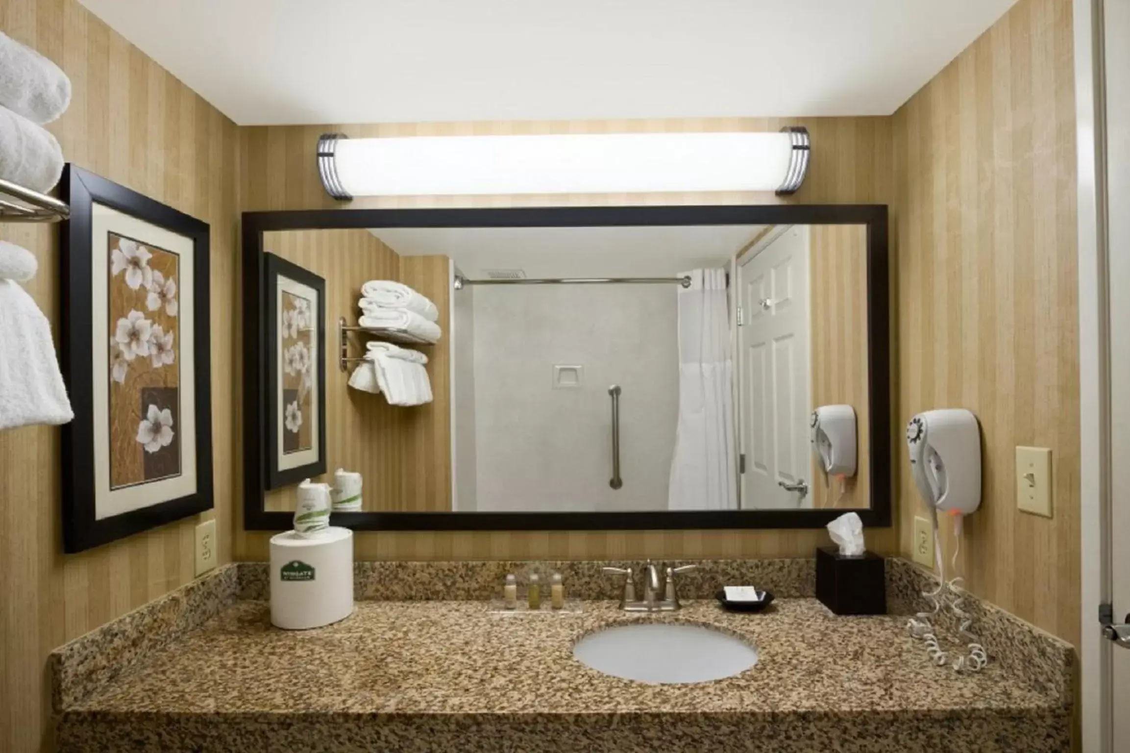 Bathroom in Wingate by Wyndham Greensboro