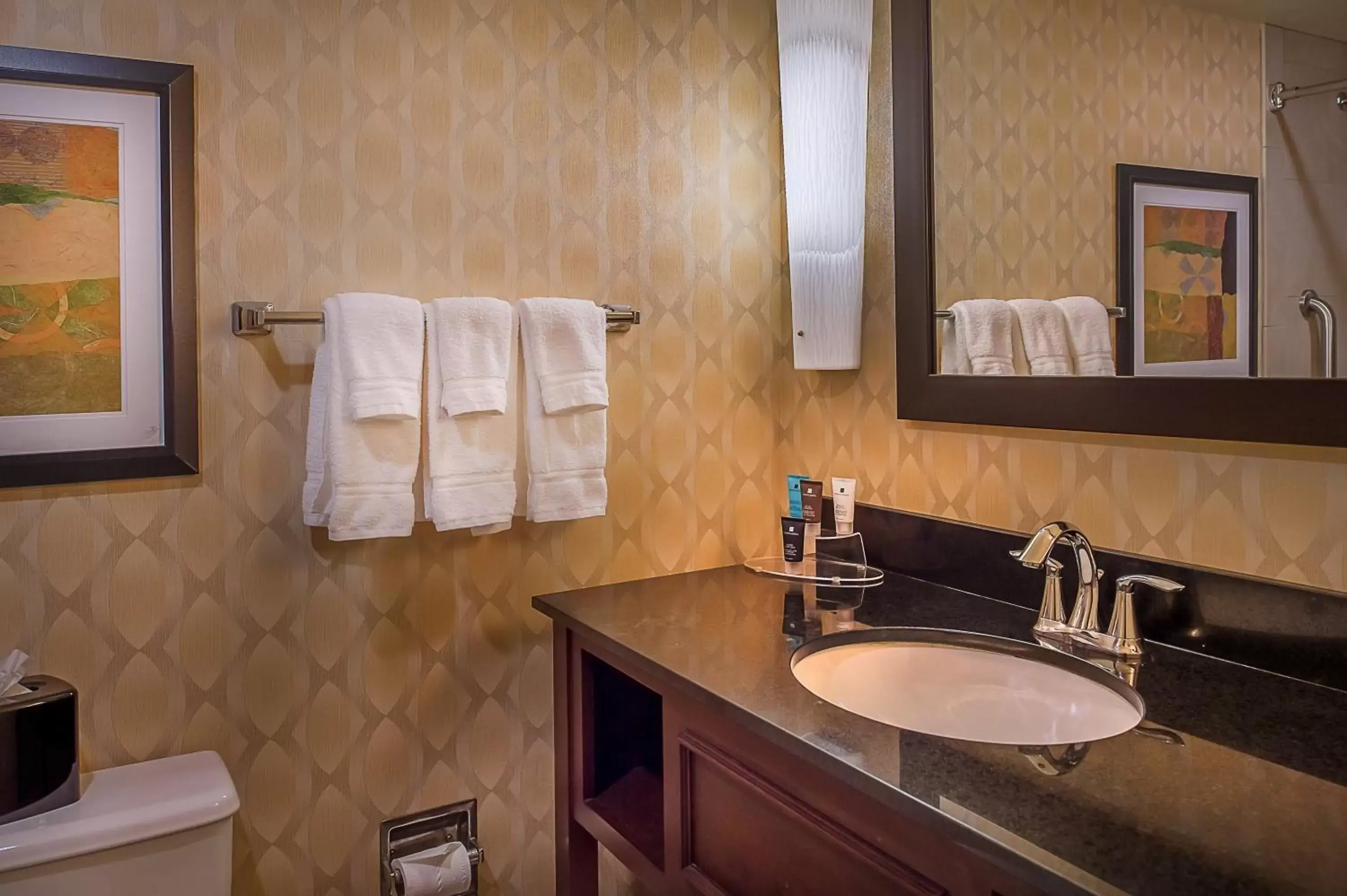 Bathroom in Crowne Plaza Hotel St. Louis Airport, an IHG Hotel