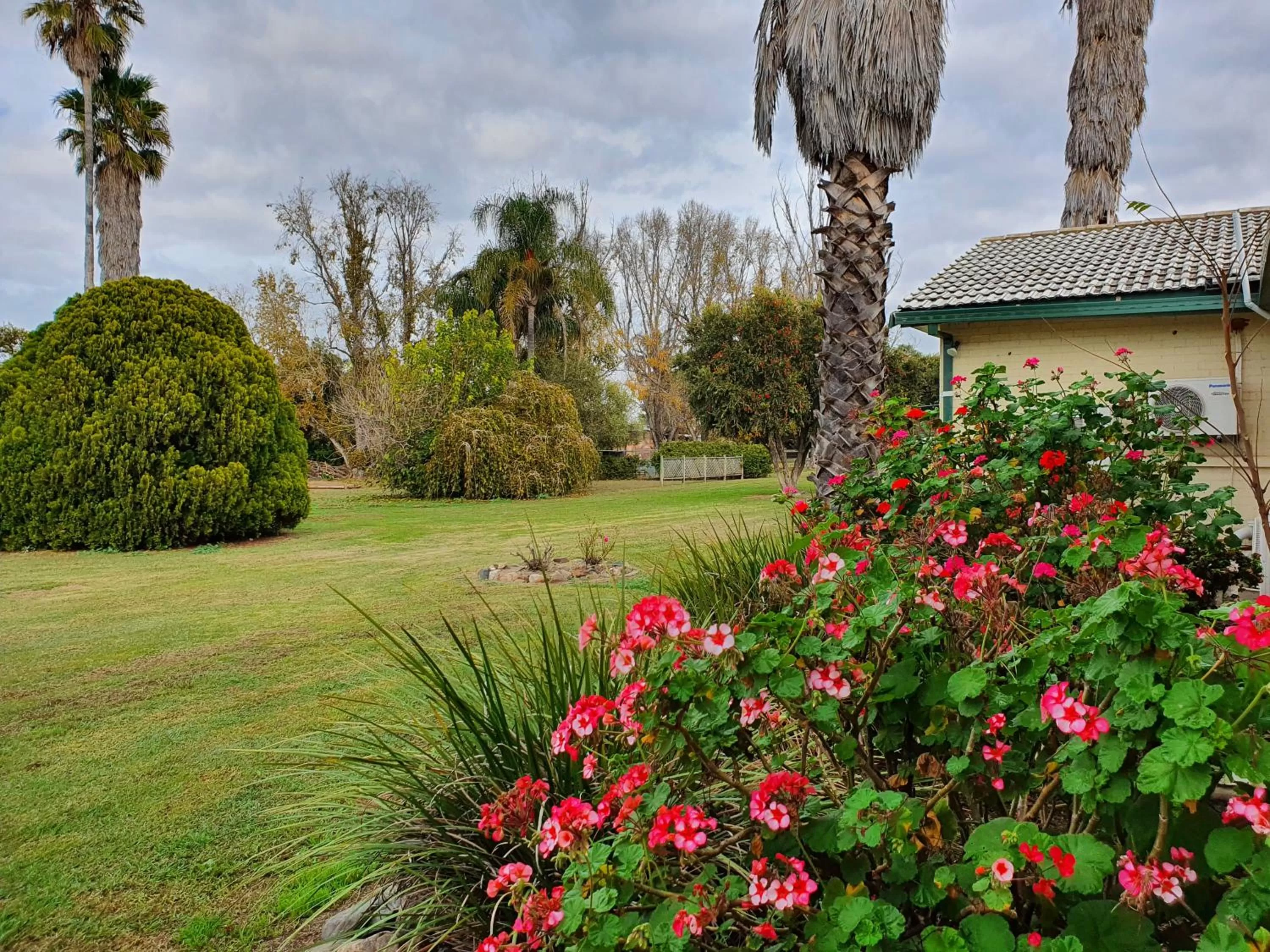 Garden in The Aston Motel Tamworth