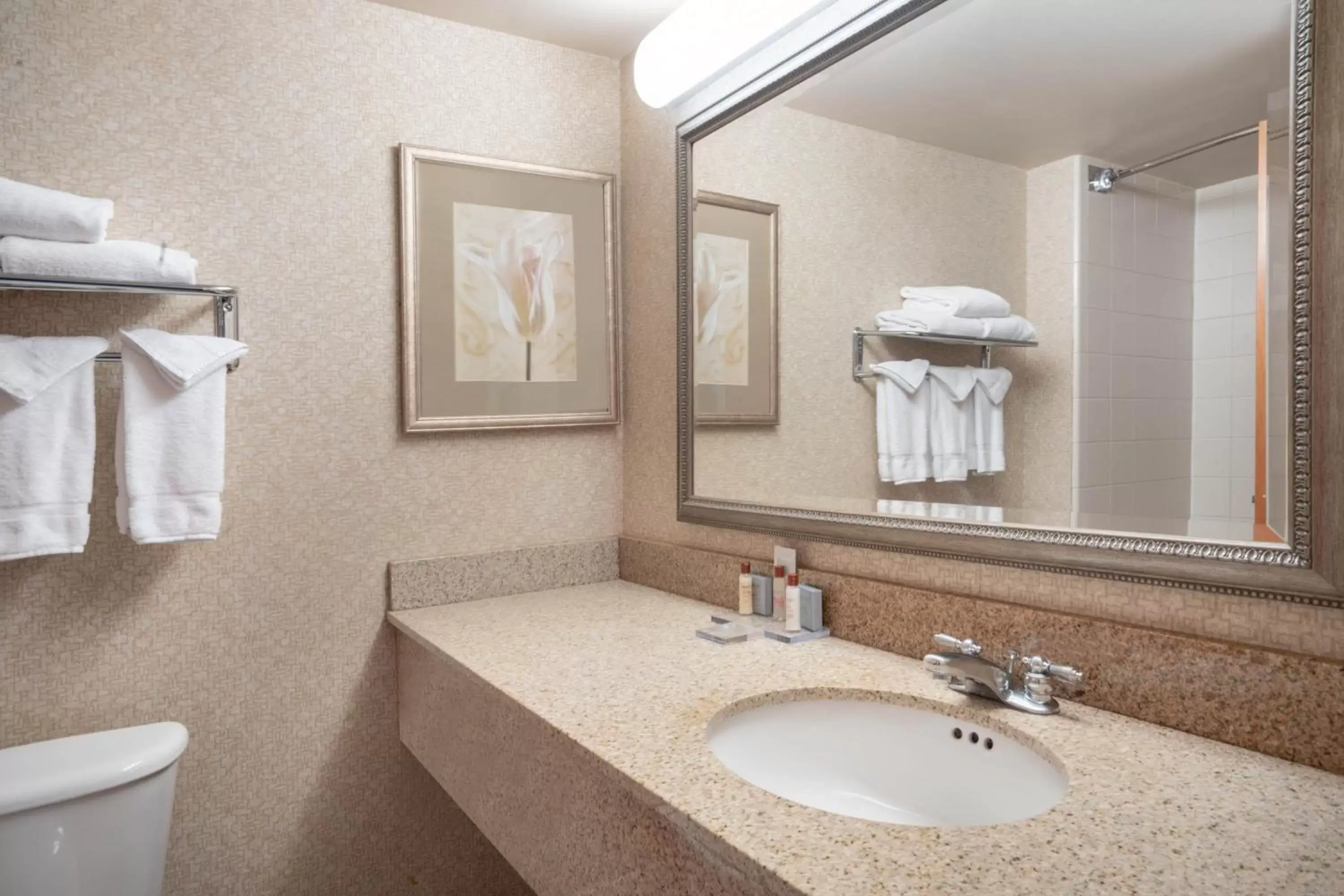 Bathroom in Wingate by Wyndham Charlotte Airport