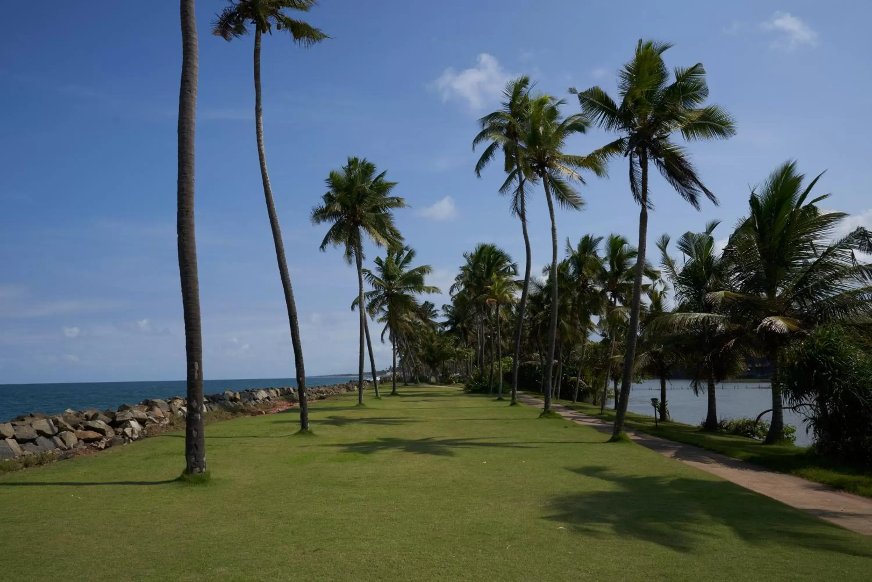 Garden in Taj Green Cove Resort and Spa Kovalam