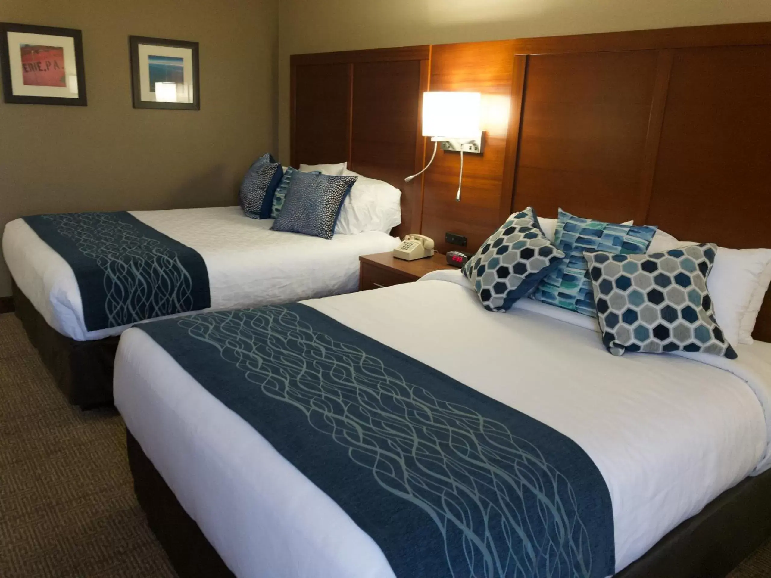 Bed in Comfort Inn, Erie - Near Presque Isle