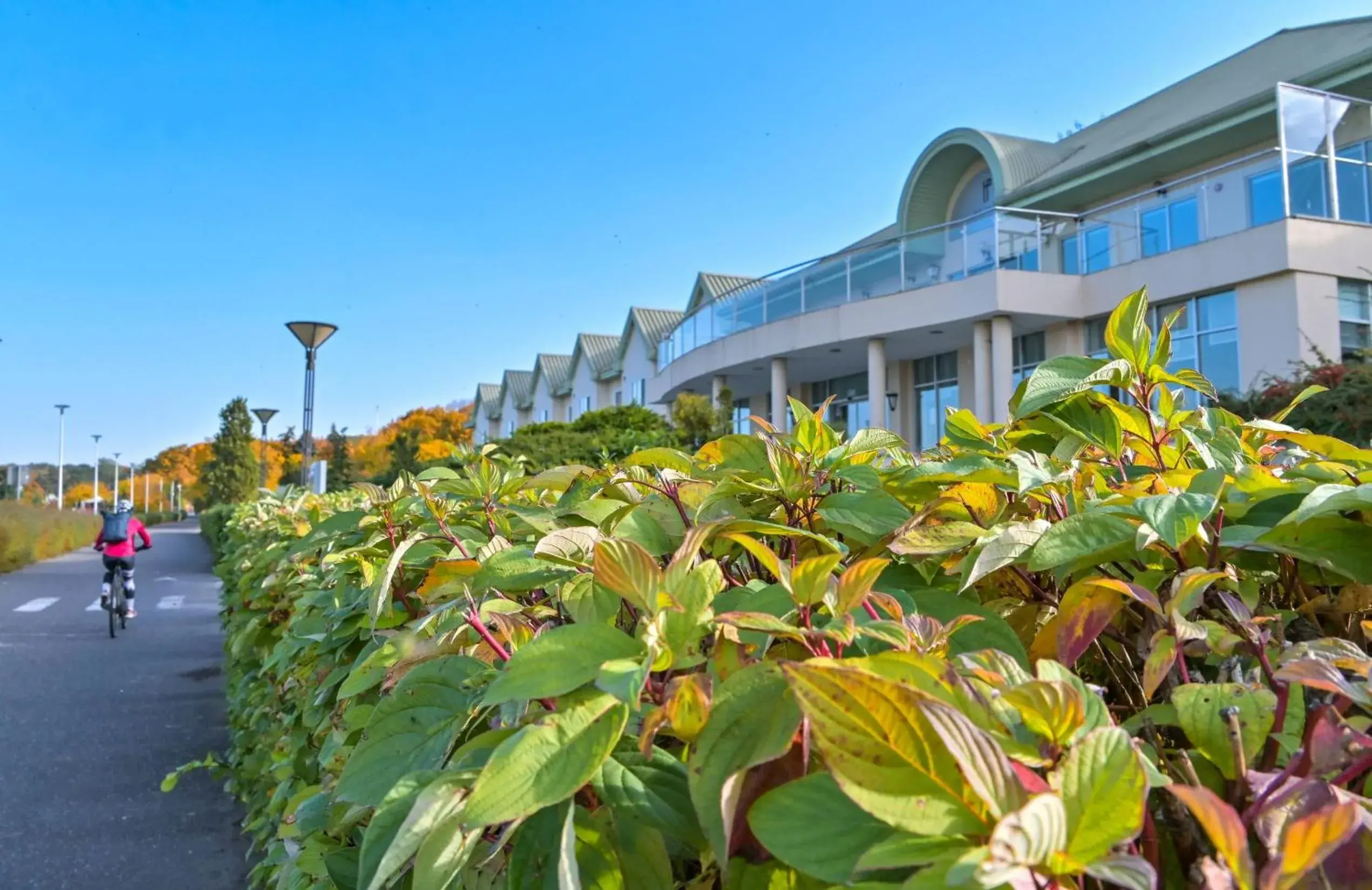 Property Building in Hotel HP Park