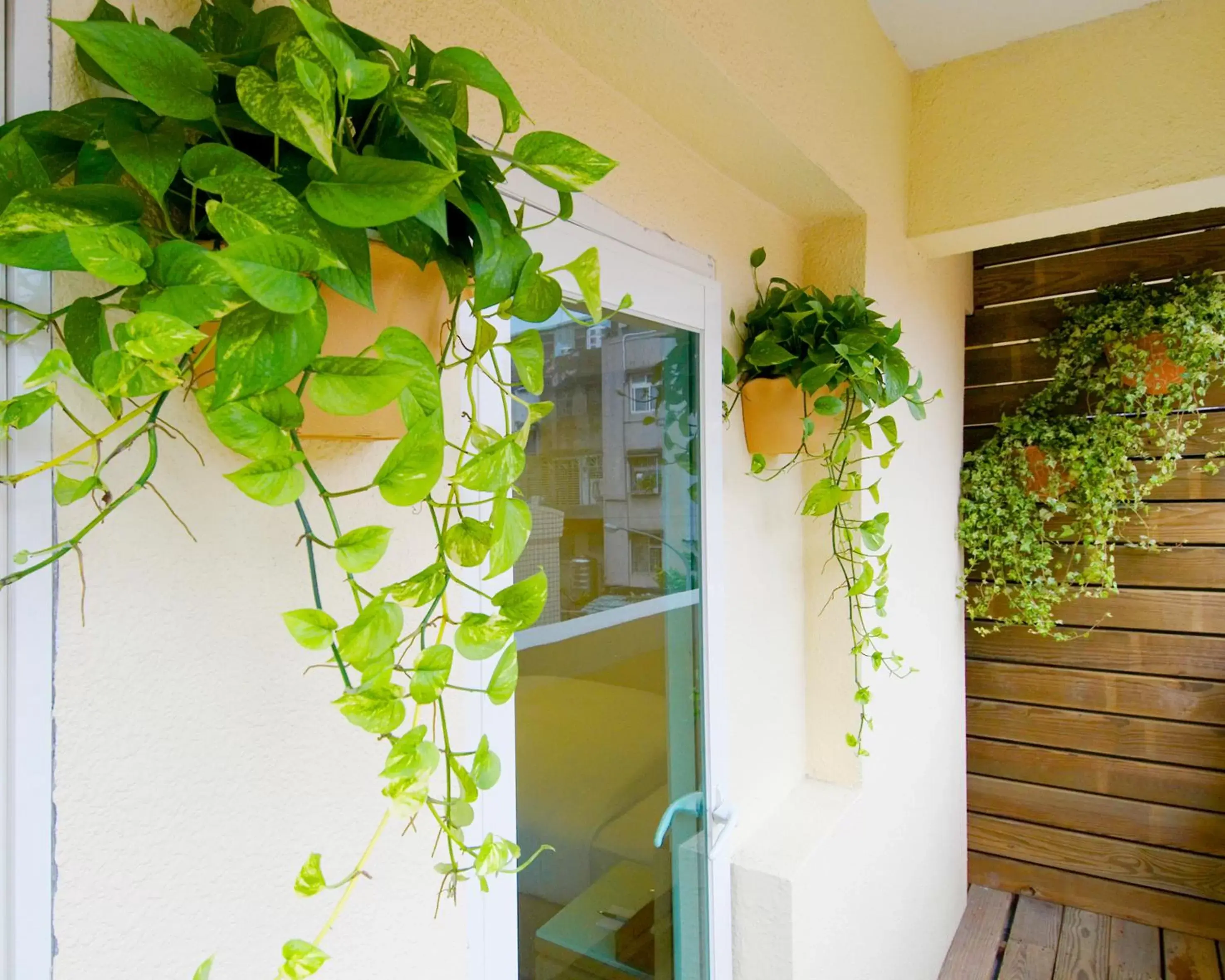 Facade/entrance in Hotel Color