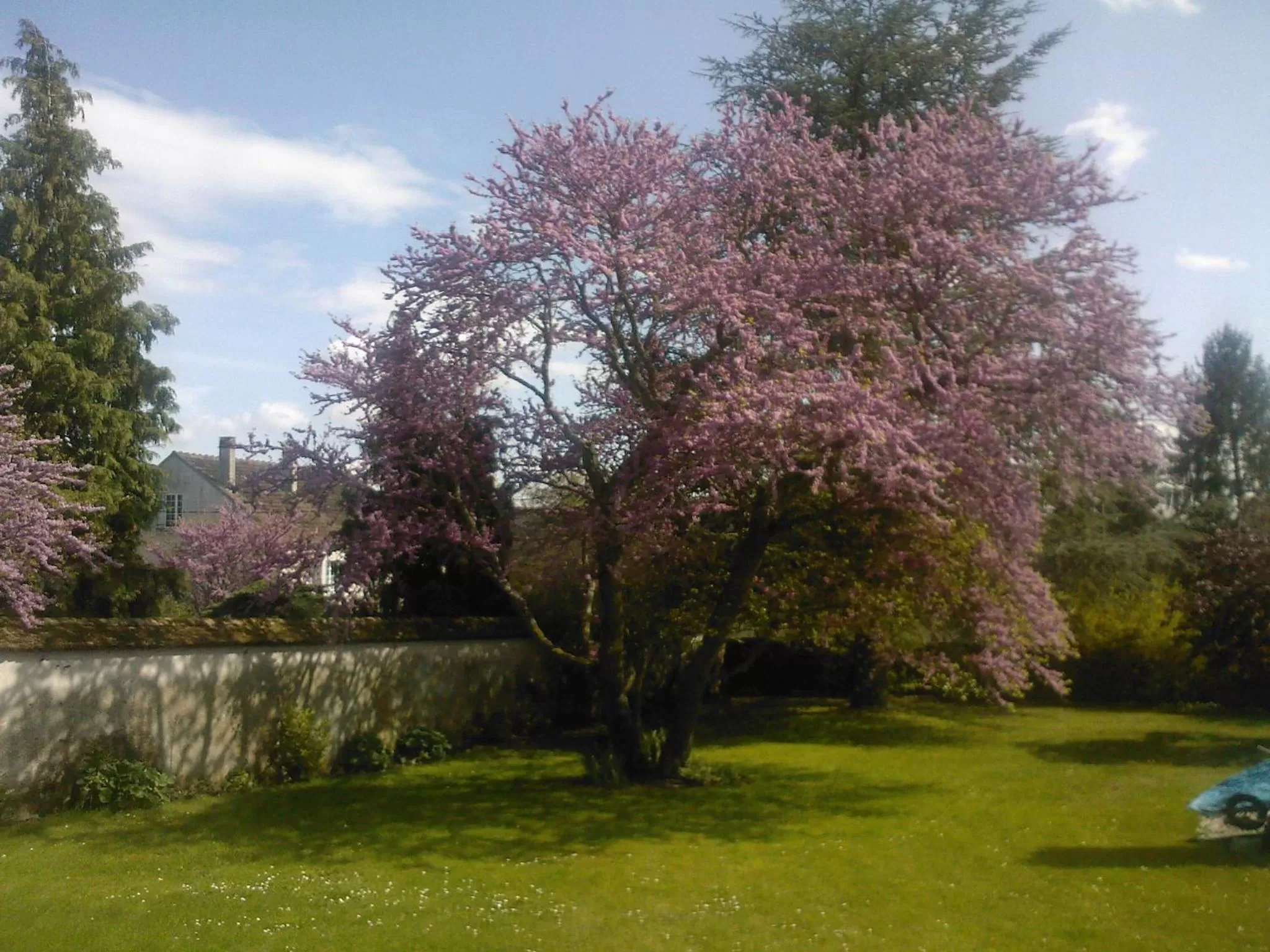 Property building in Les Rêves de Flamboin