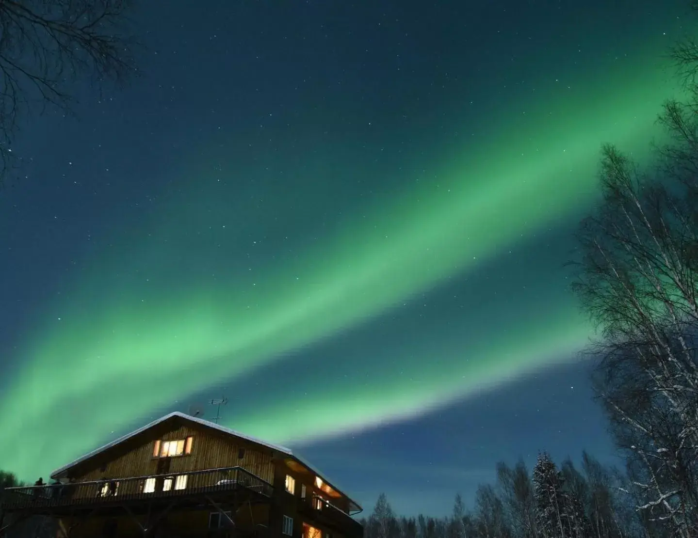 Alaska Grizzly Lodge