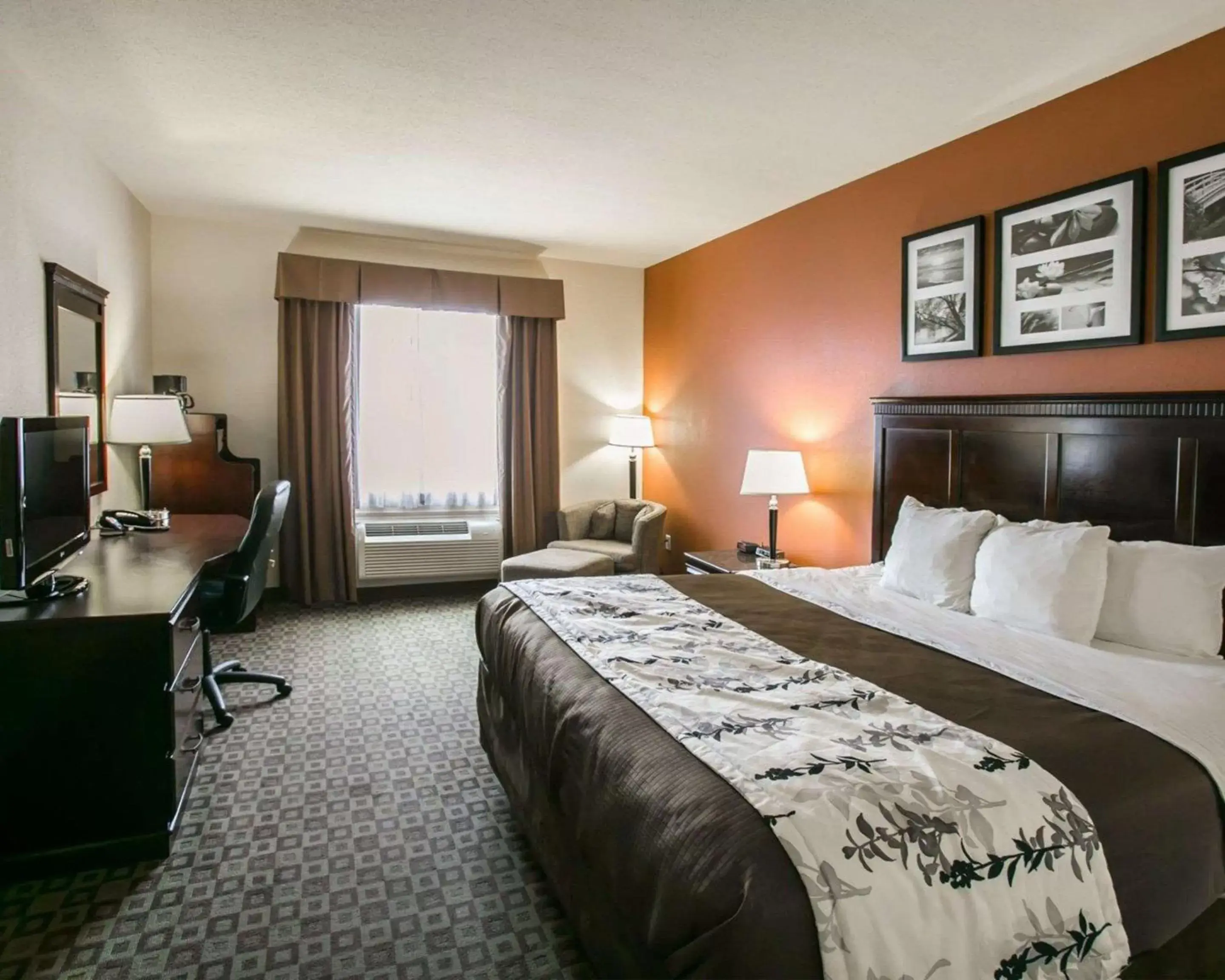 Other, Bed in Sleep Inn & Suites Highway 290/Northwest Freeway