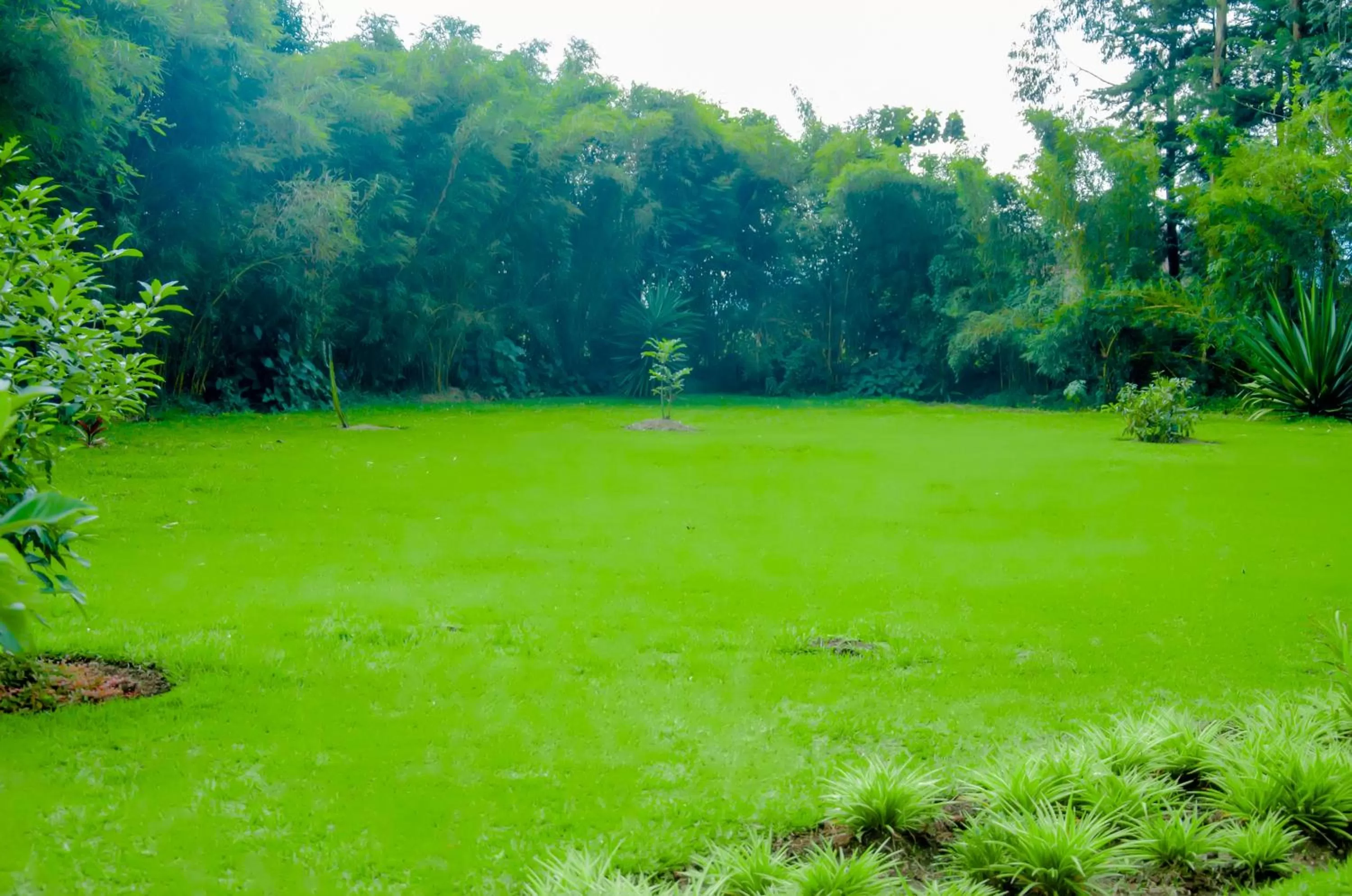 Day, Garden in Fravan Eco Resort By Apogee