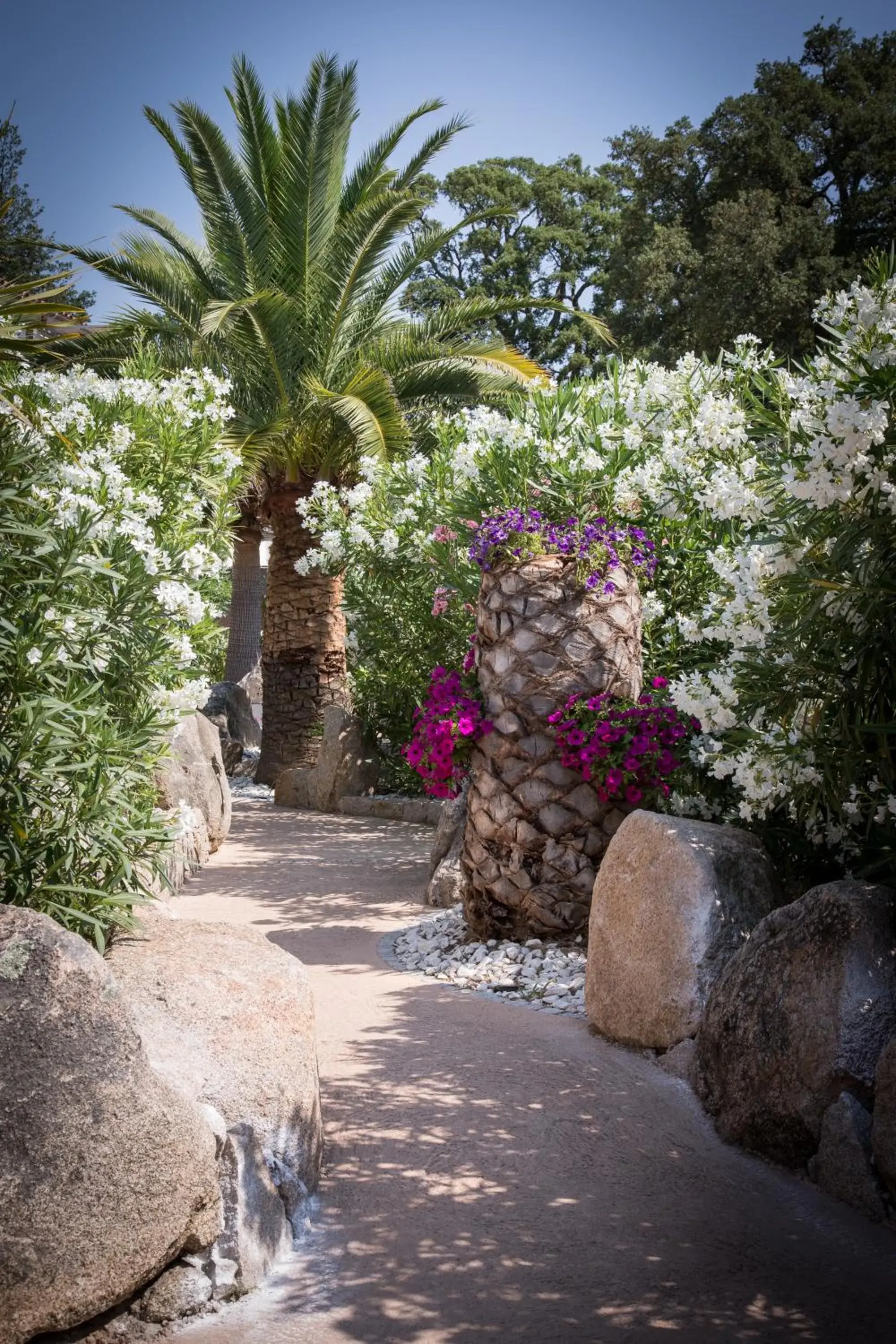 Garden view in Golfe Hotel