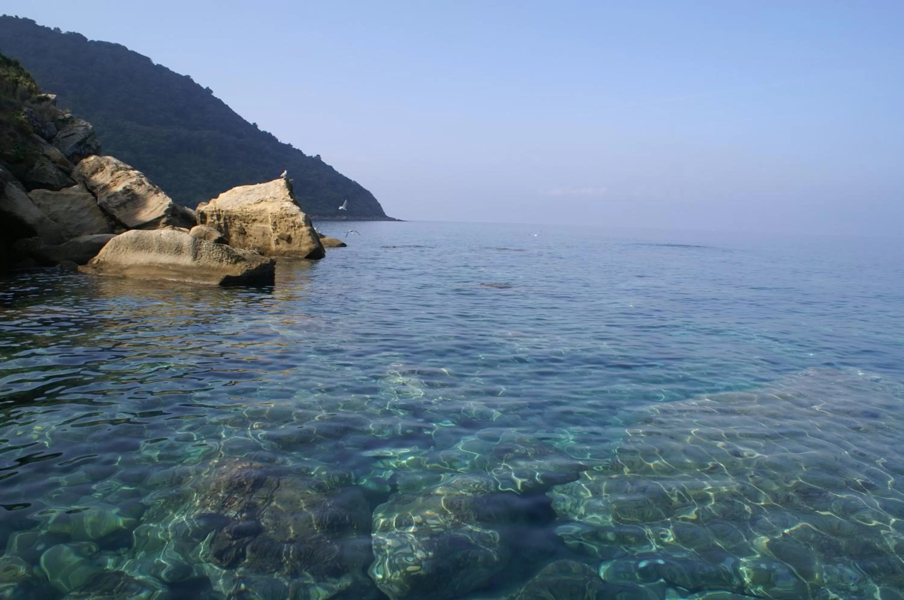 Natural landscape in B&B Il Girasole