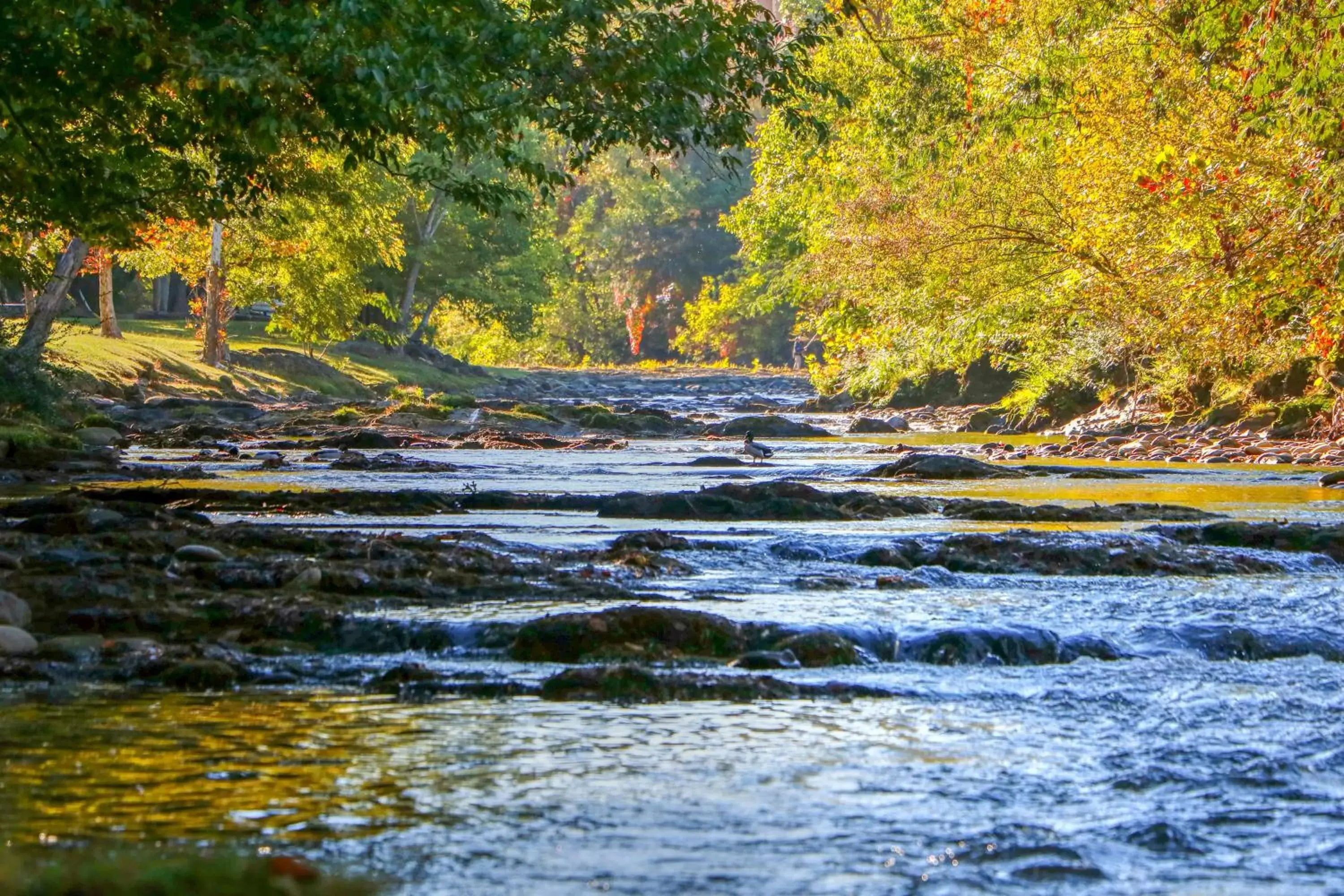 Natural Landscape in RiverStone Resort & Spa