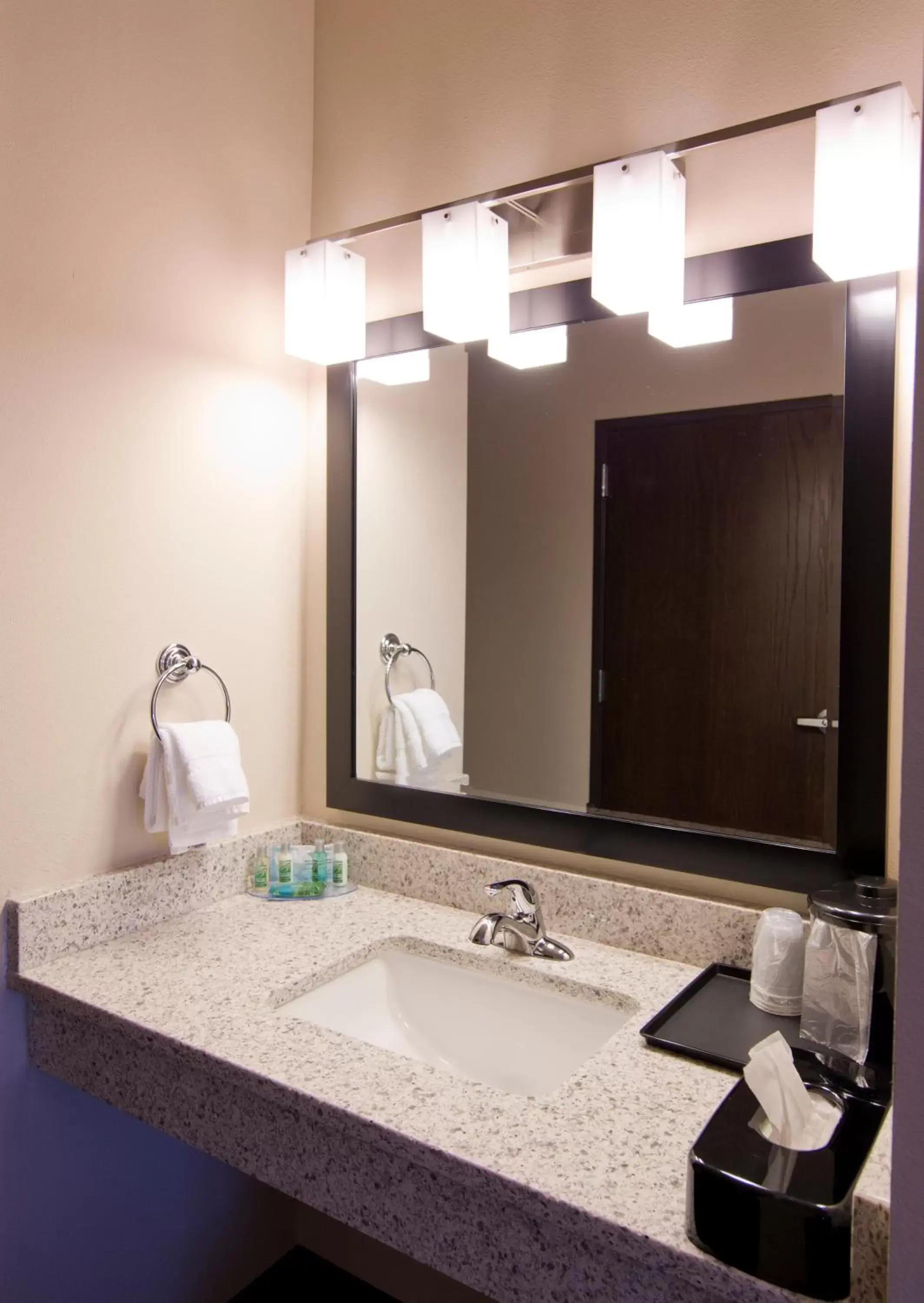 Bathroom in Cobblestone Inn & Suites - Boone