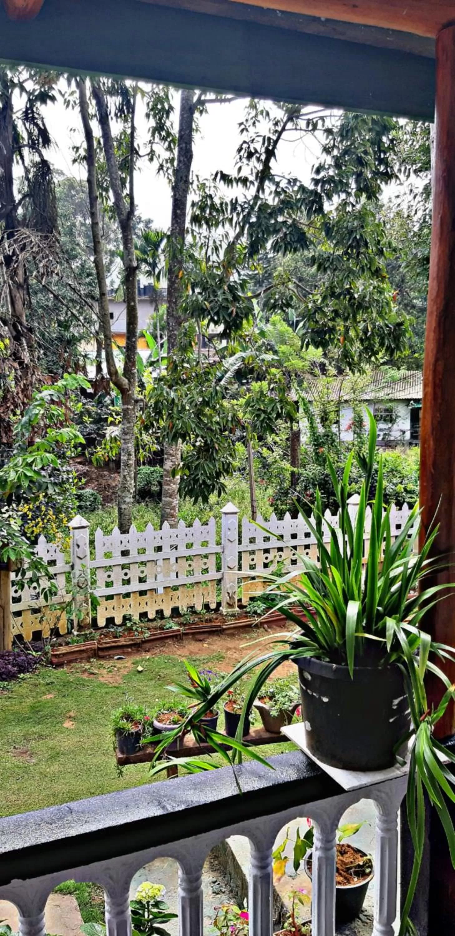 Garden view in Cozy Home Stay