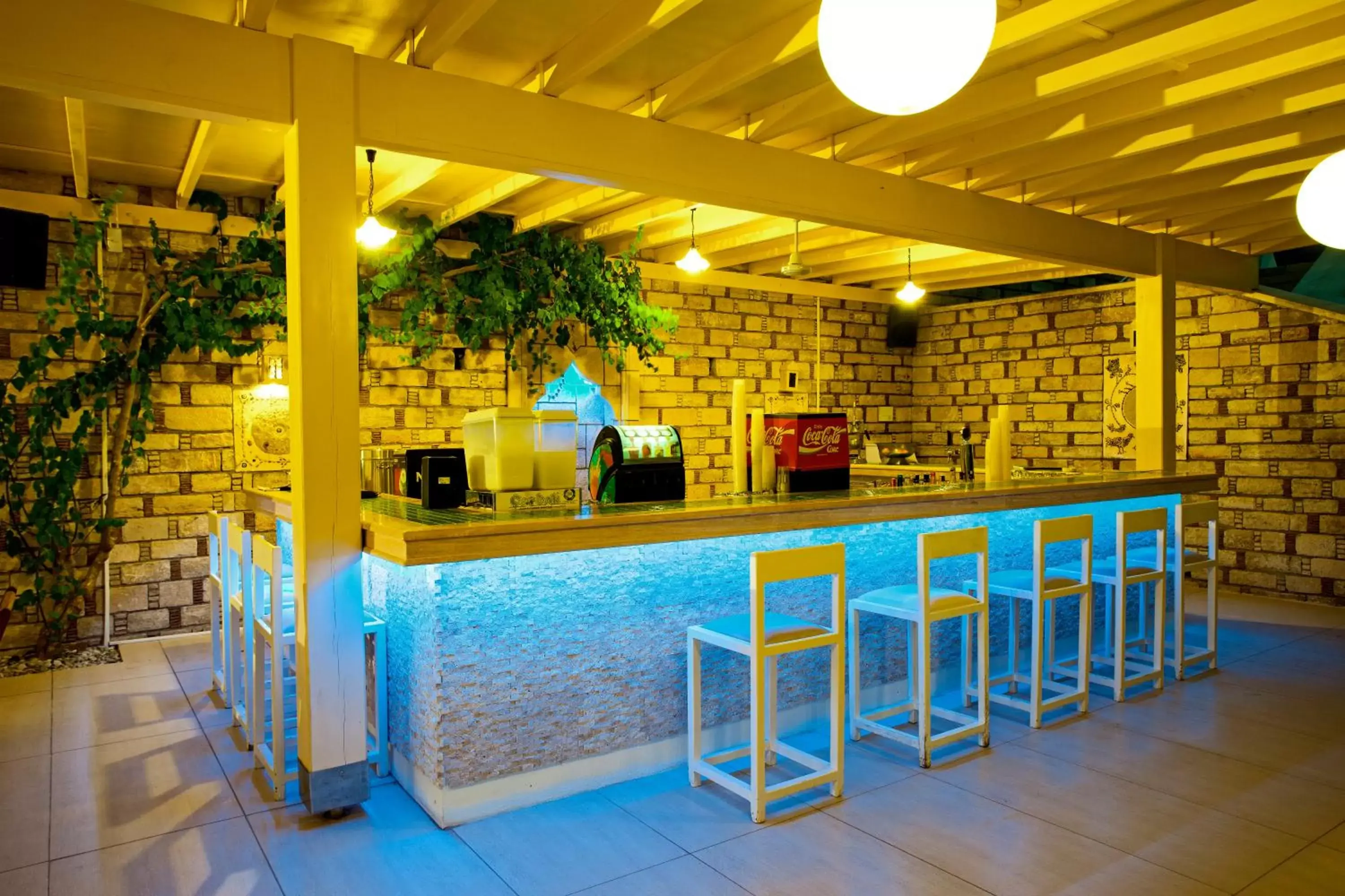 Lounge or bar, Lobby/Reception in Salmakis Resort & Spa