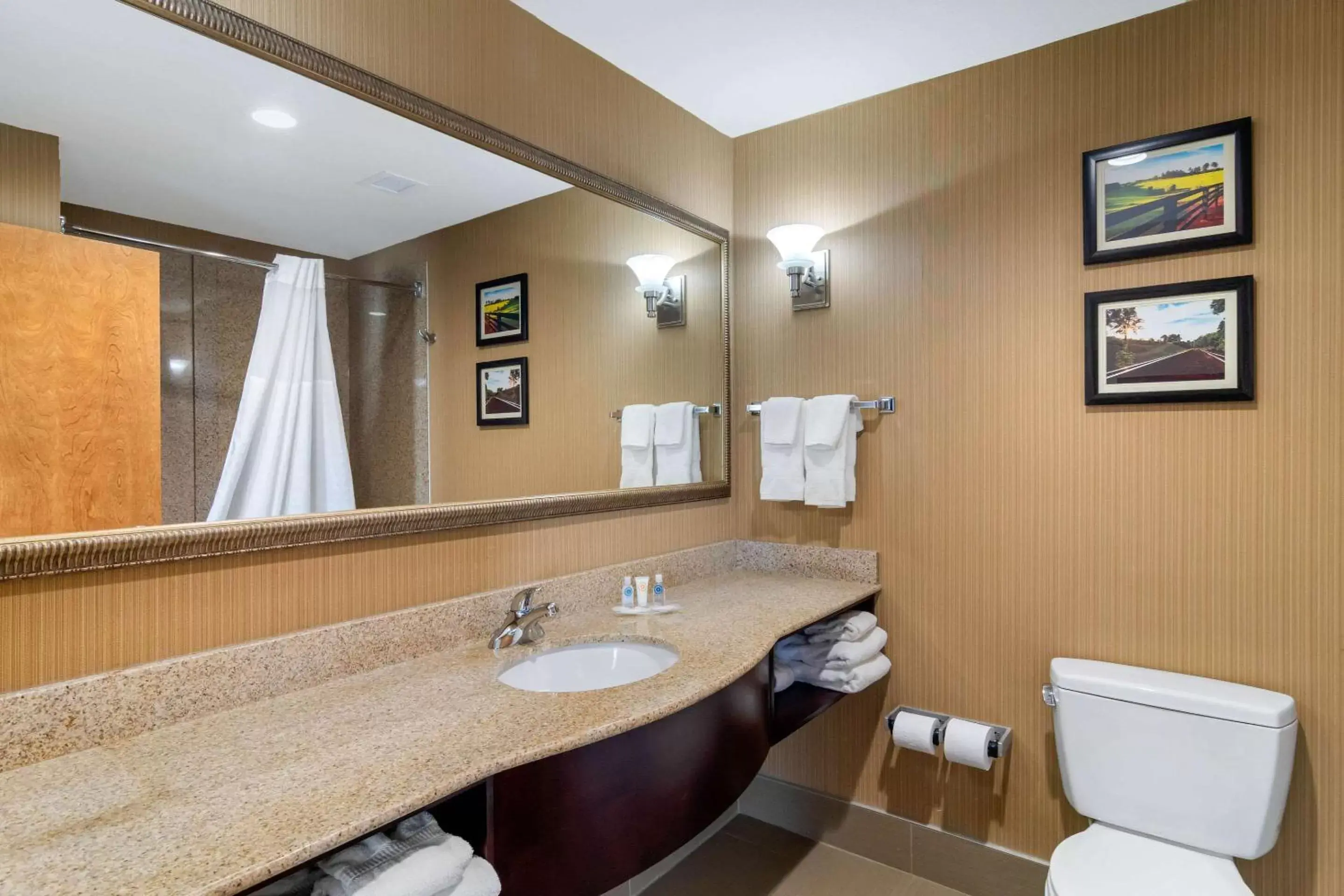 Photo of the whole room, Bathroom in Comfort Suites Byron Warner Robins