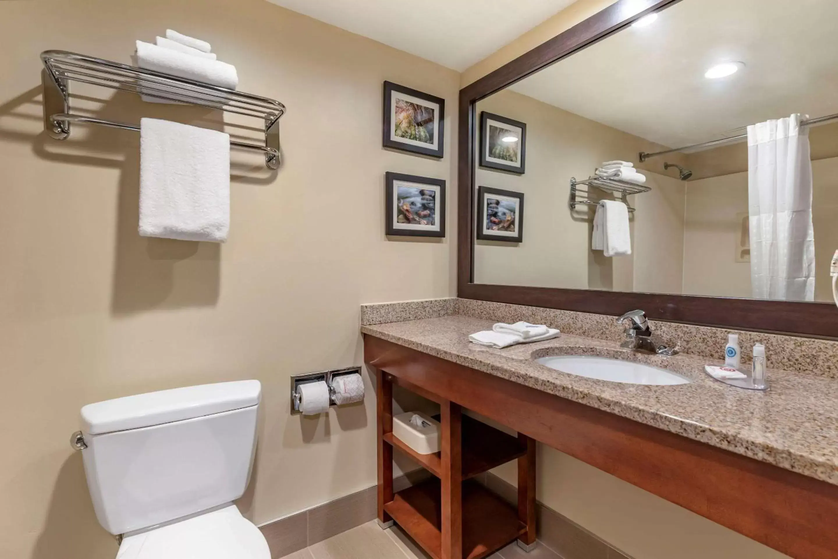 Bathroom in Comfort Inn & Suites Morehead