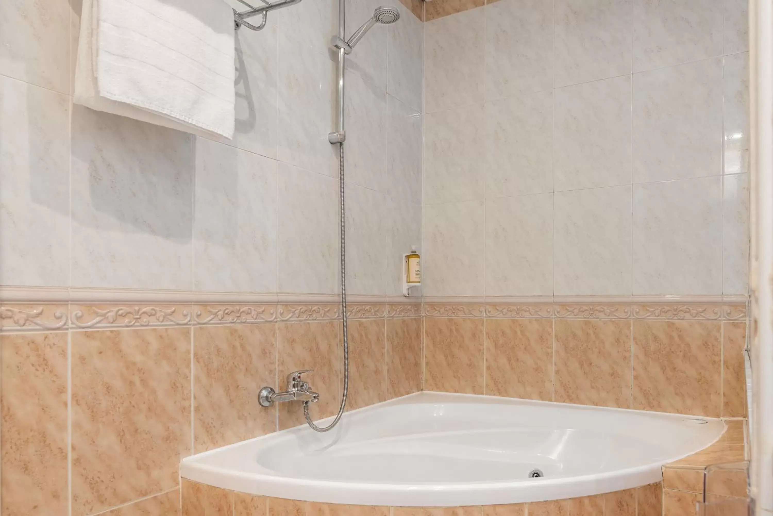 Shower, Bathroom in Hotel Rio Badajoz