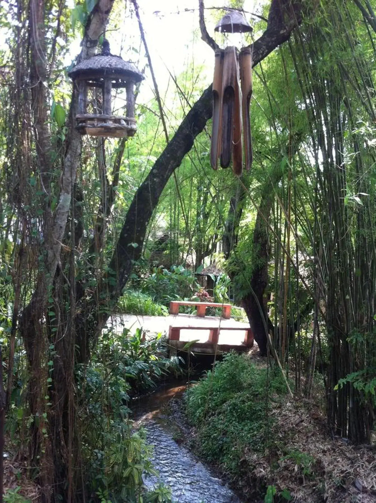 Natural landscape in Chang Pai Resort