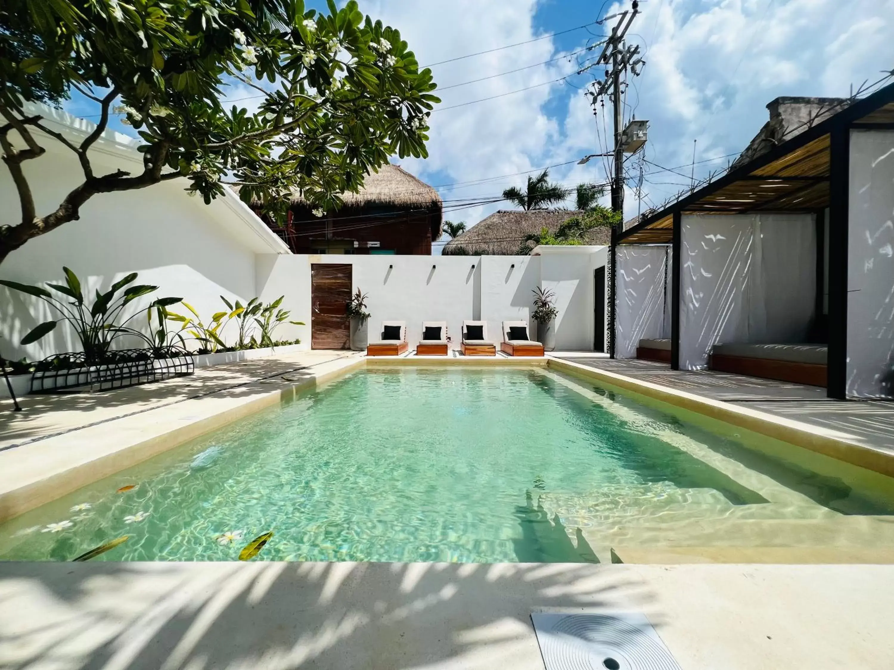 Swimming Pool in Aalada Playa del Carmen