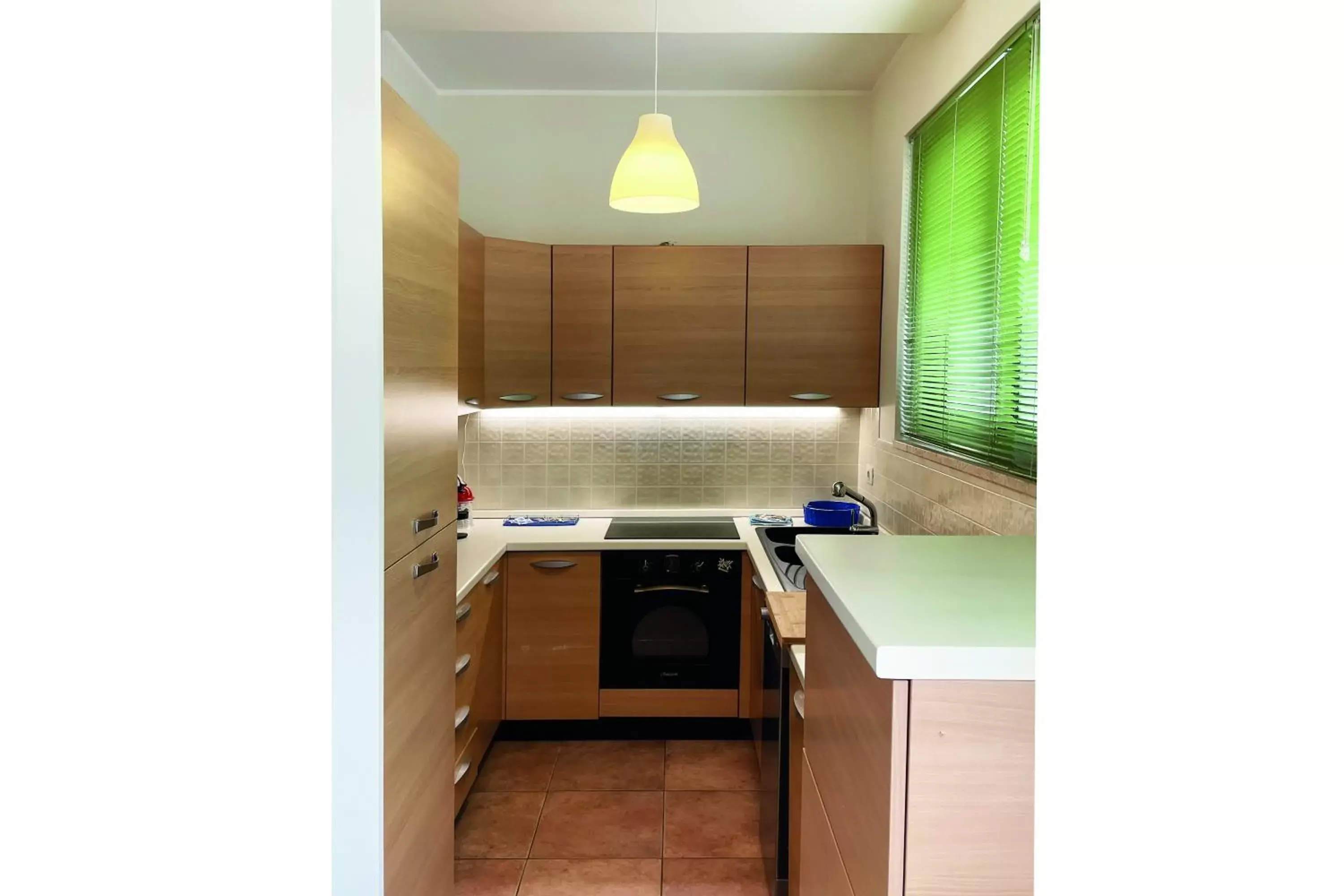 Kitchen or kitchenette, Kitchen/Kitchenette in Euphorbia Residence